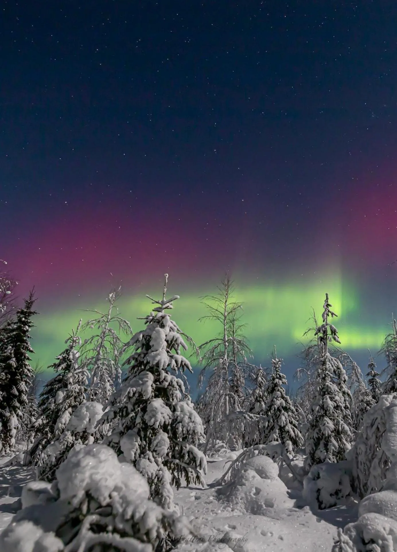 Old Pine Husky Lodge