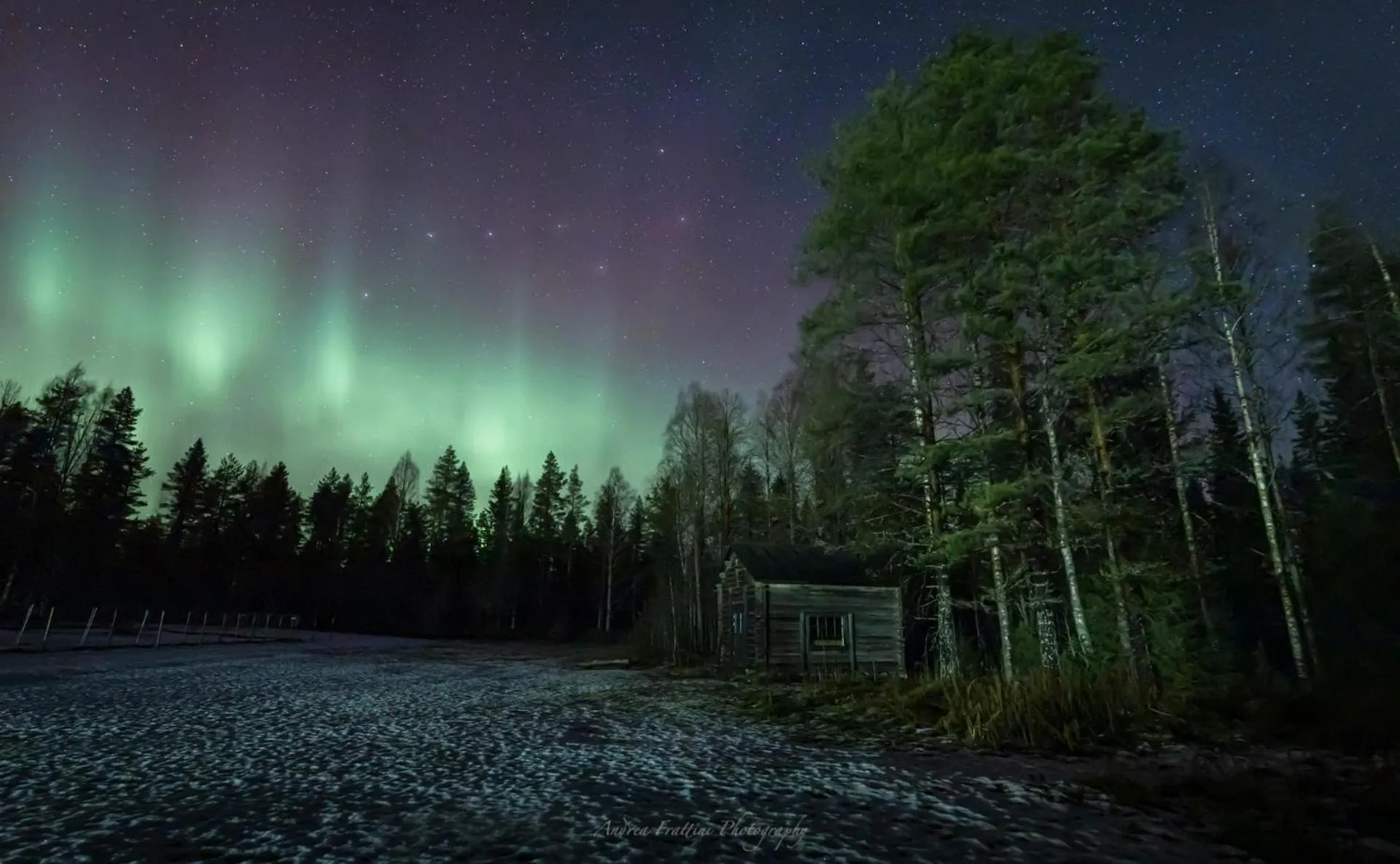 Old Pine Husky Lodge