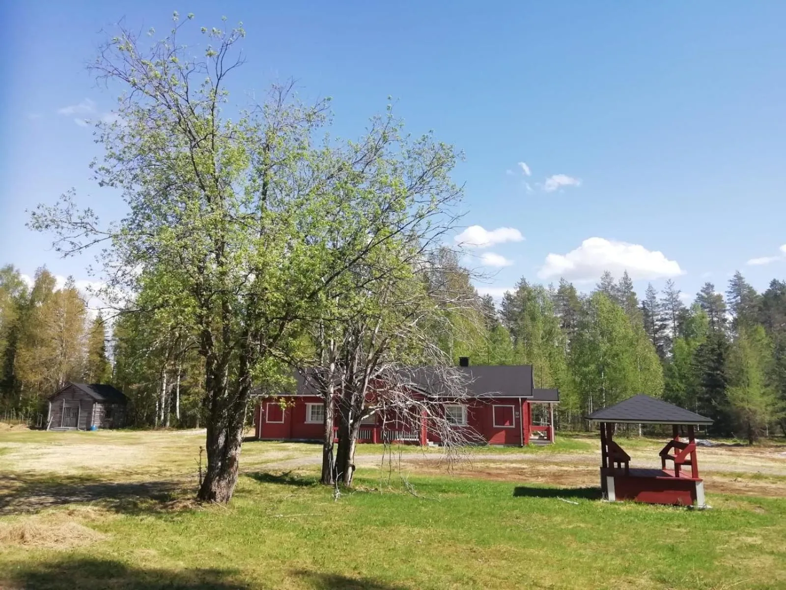 Spring in Old Pine Husky Lodge