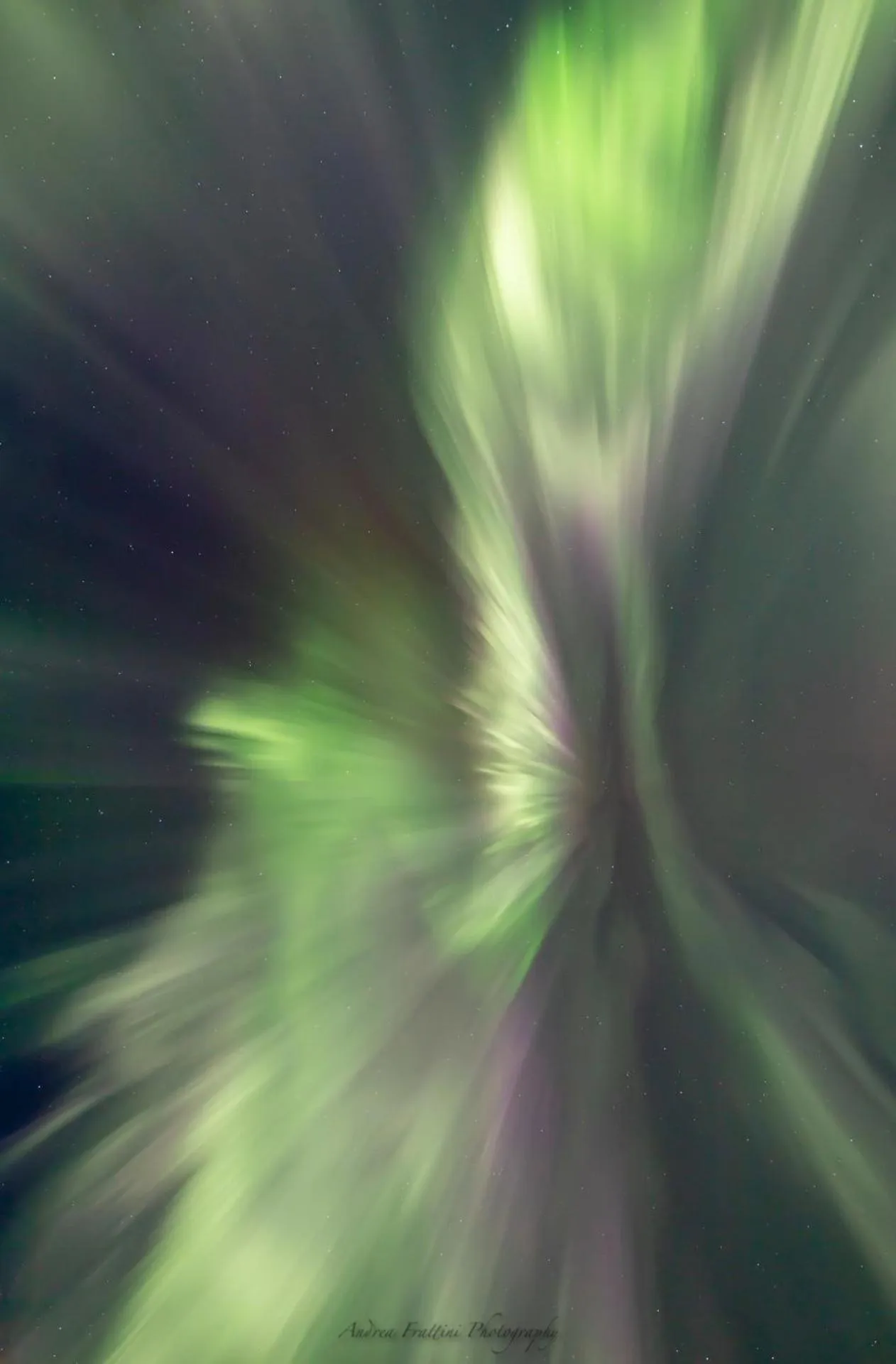 Old Pine Husky Lodge