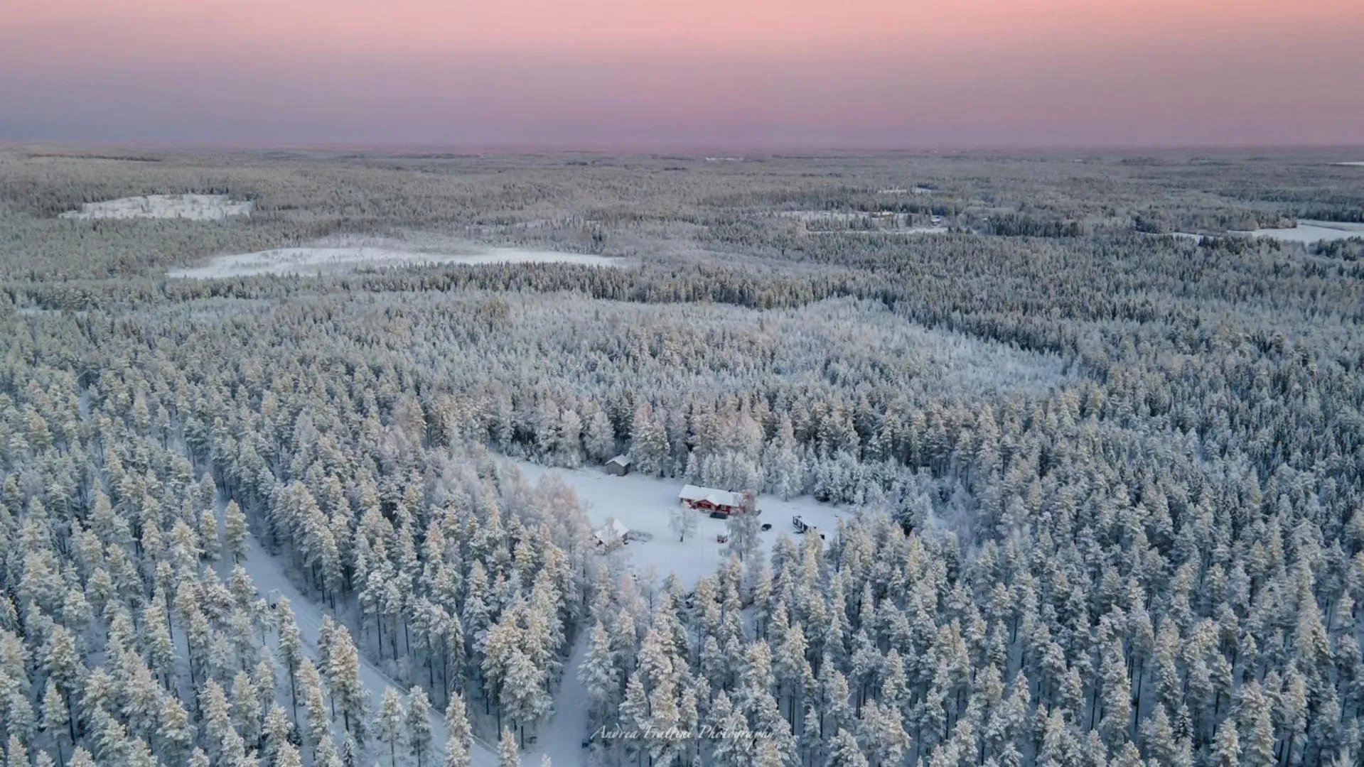 Old Pine Husky Lodge