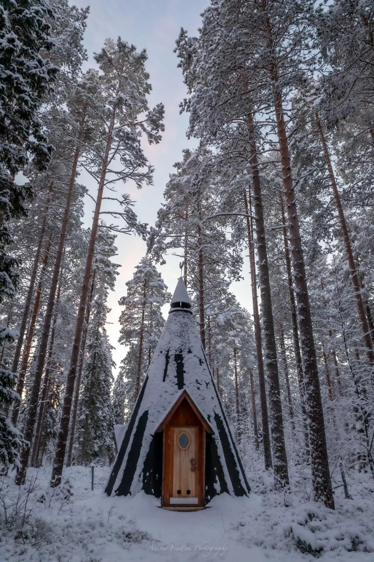 Old Pine Husky Lodge