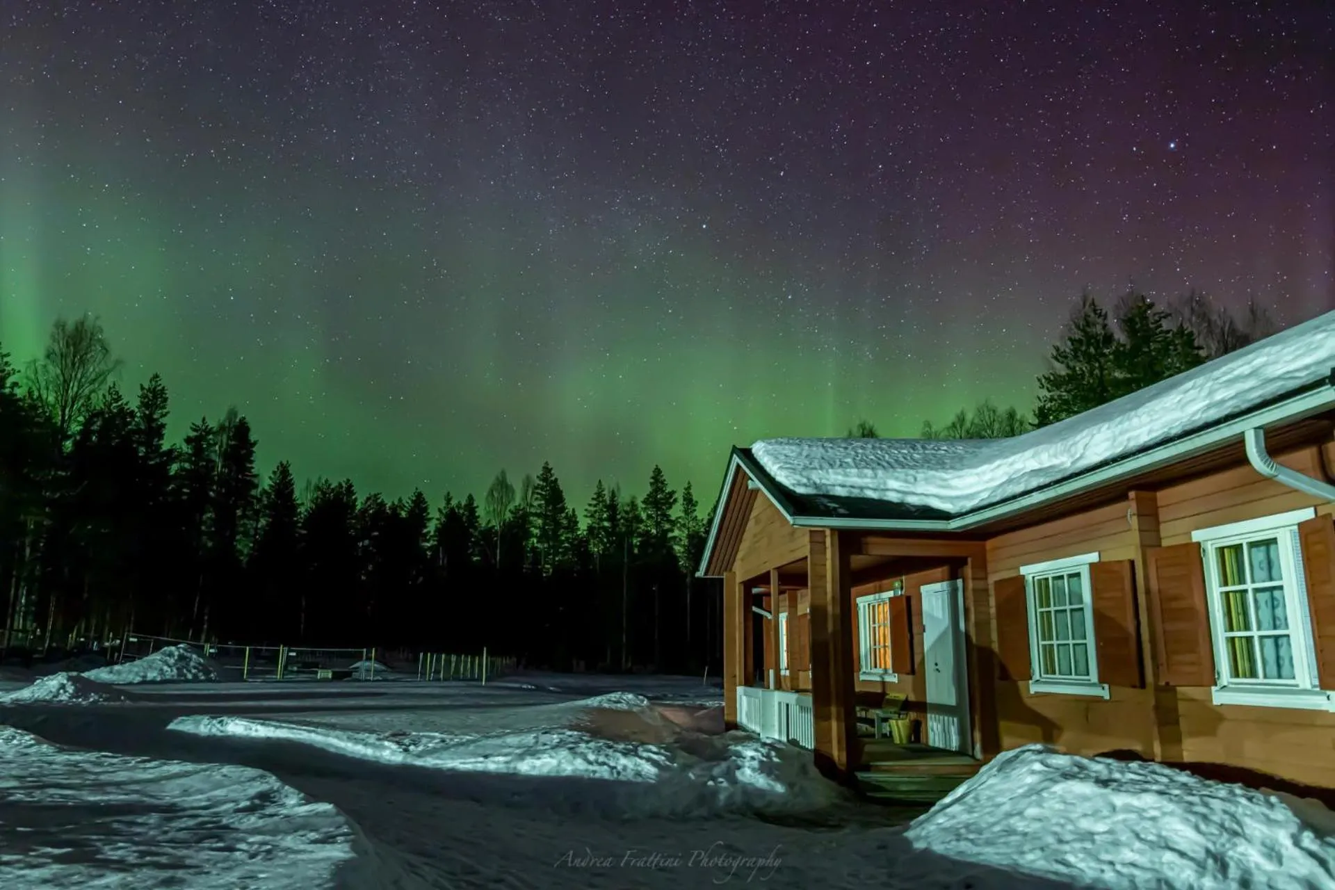 Old Pine Husky Lodge