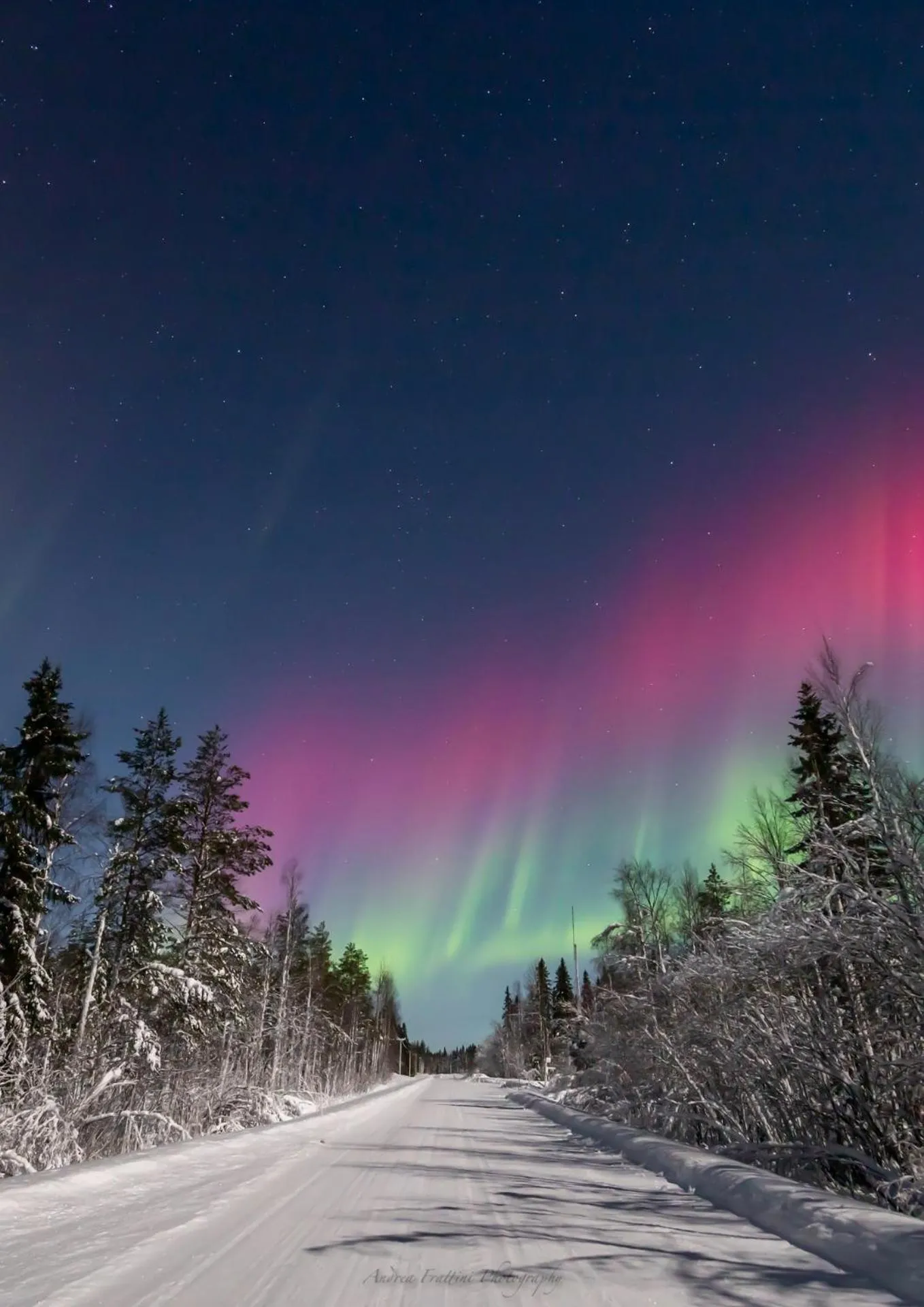 Old Pine Husky Lodge