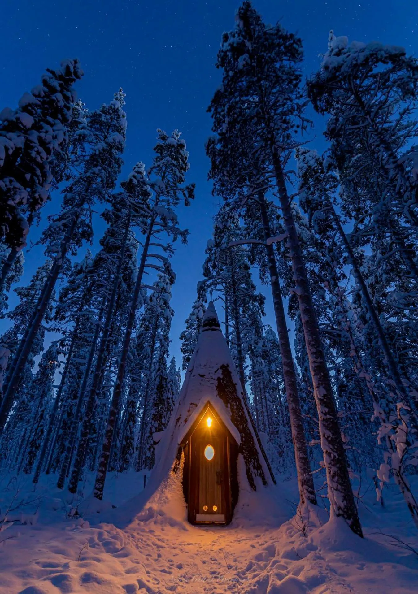 Old Pine Husky Lodge