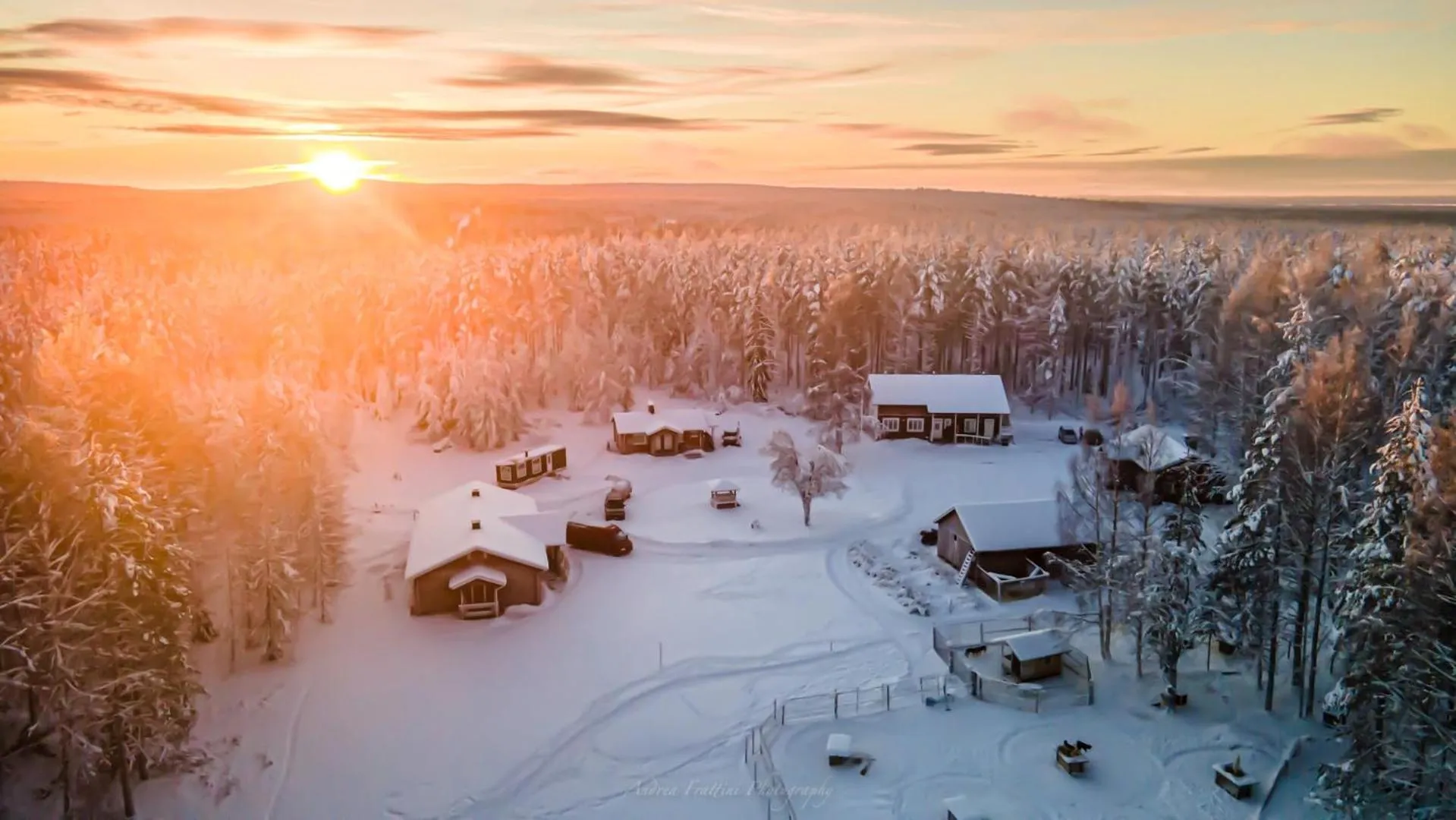 Old Pine Husky Lodge