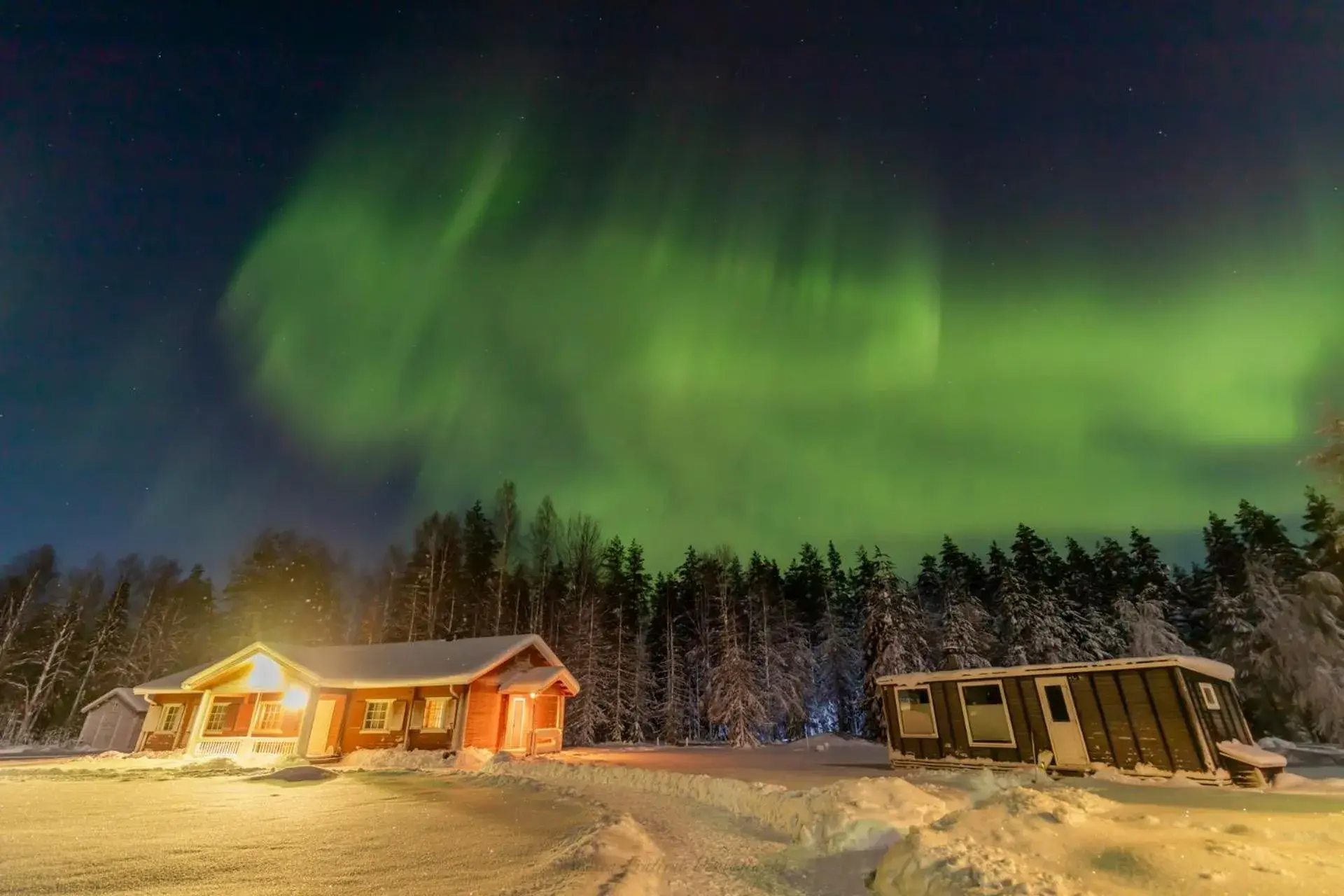 Old Pine Husky Lodge Old Pine Husky Lodge