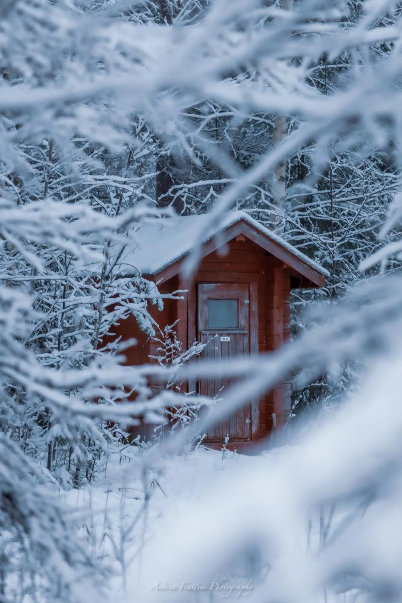 Old Pine Husky Lodge