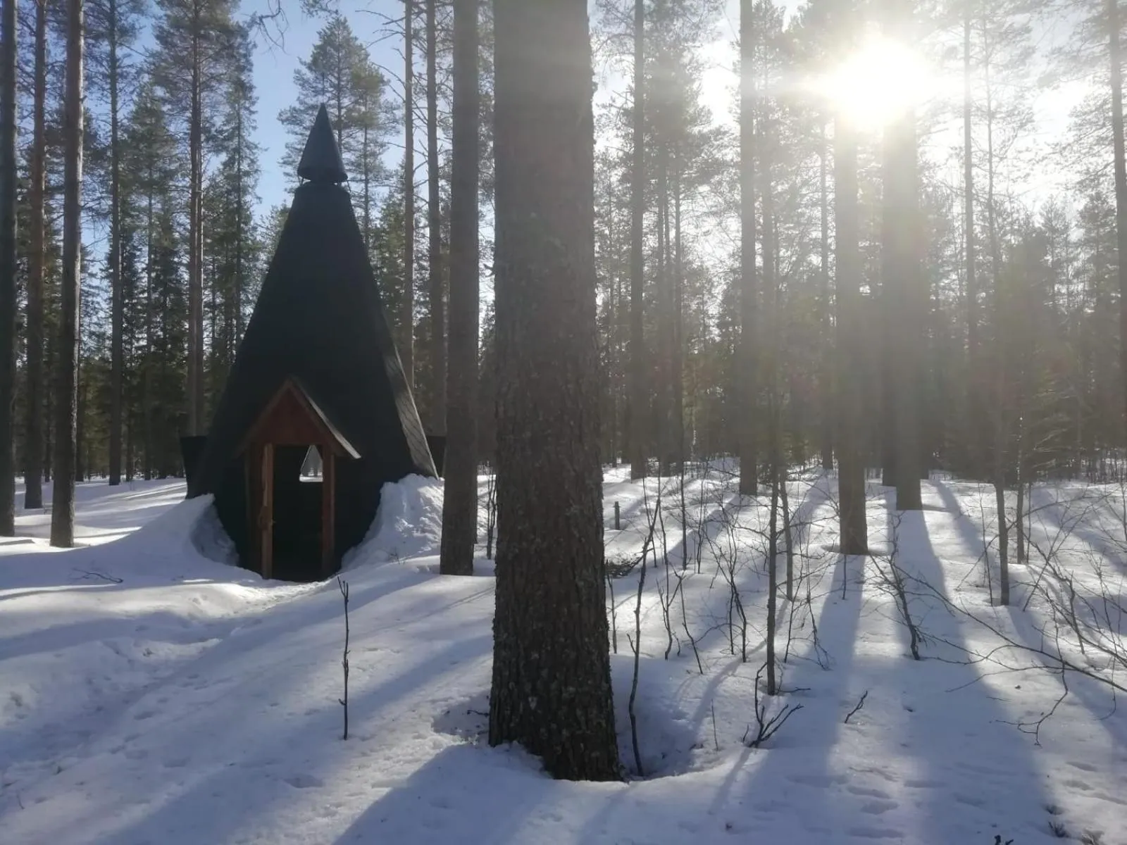 Old Pine Husky Lodge