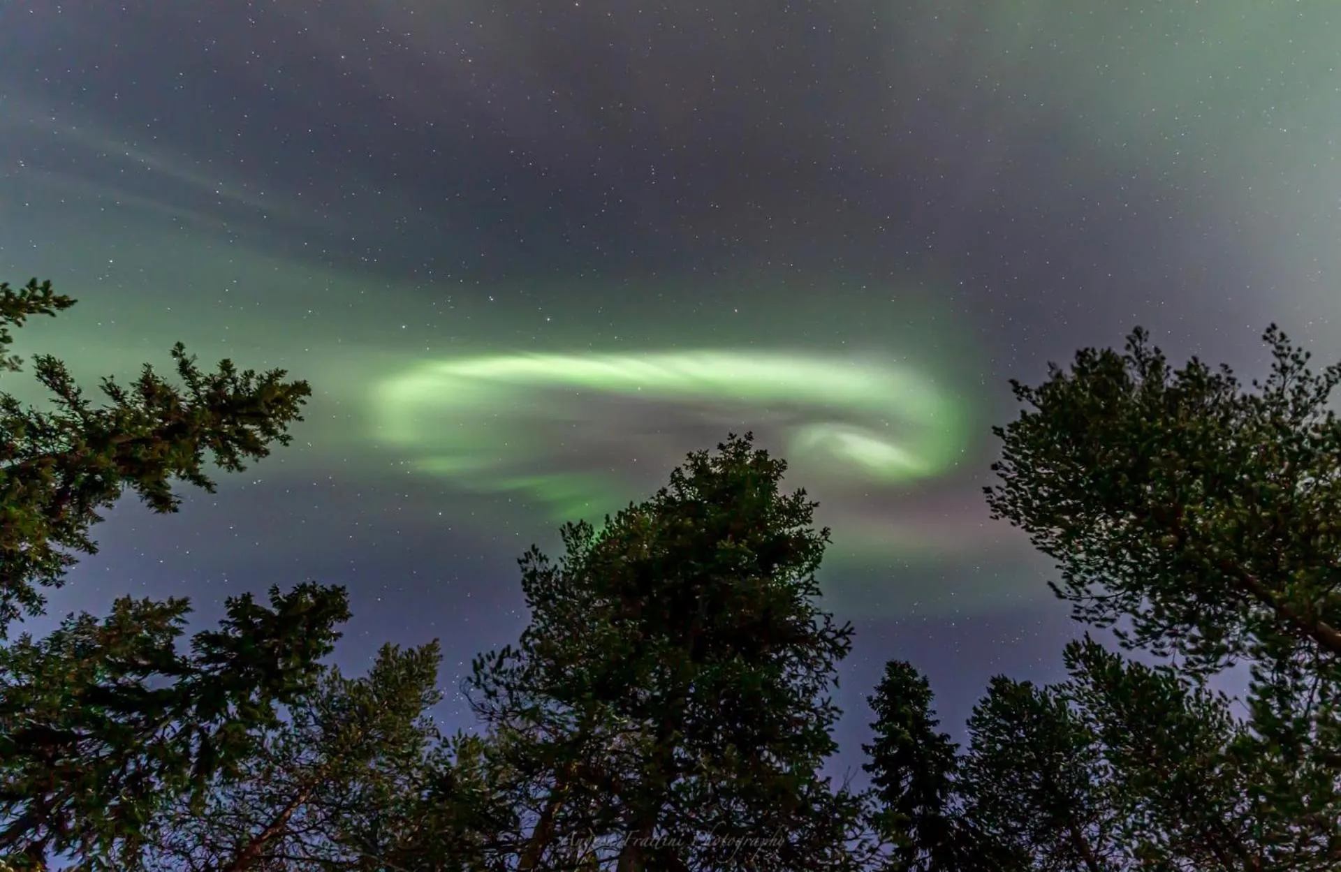 Old Pine Husky Lodge