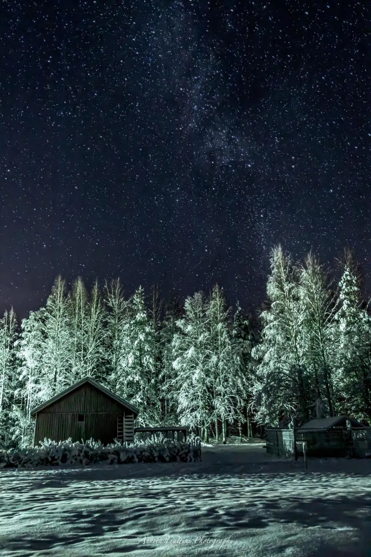 Old Pine Husky Lodge