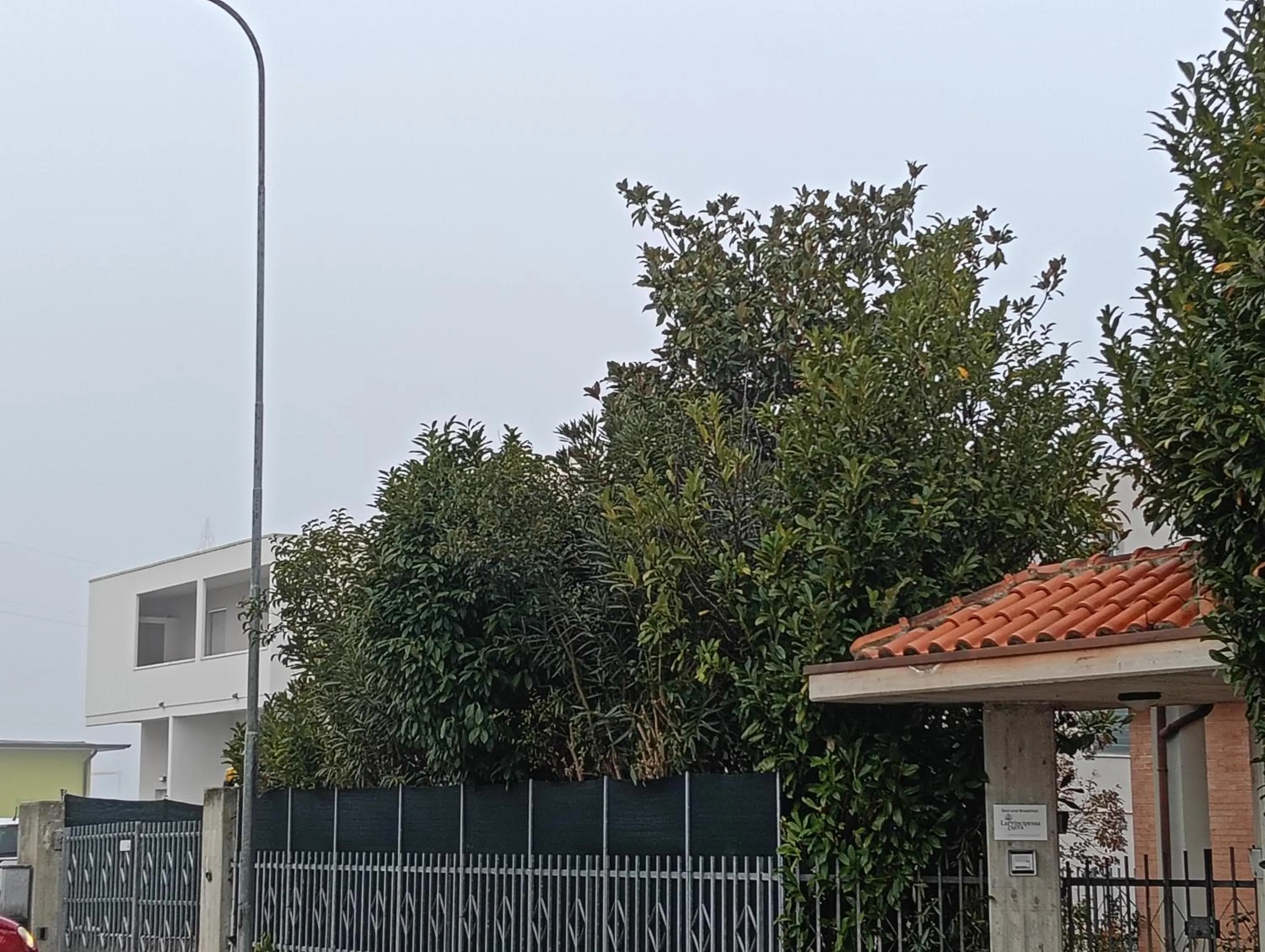 Property building in La Principessa Nera B&B