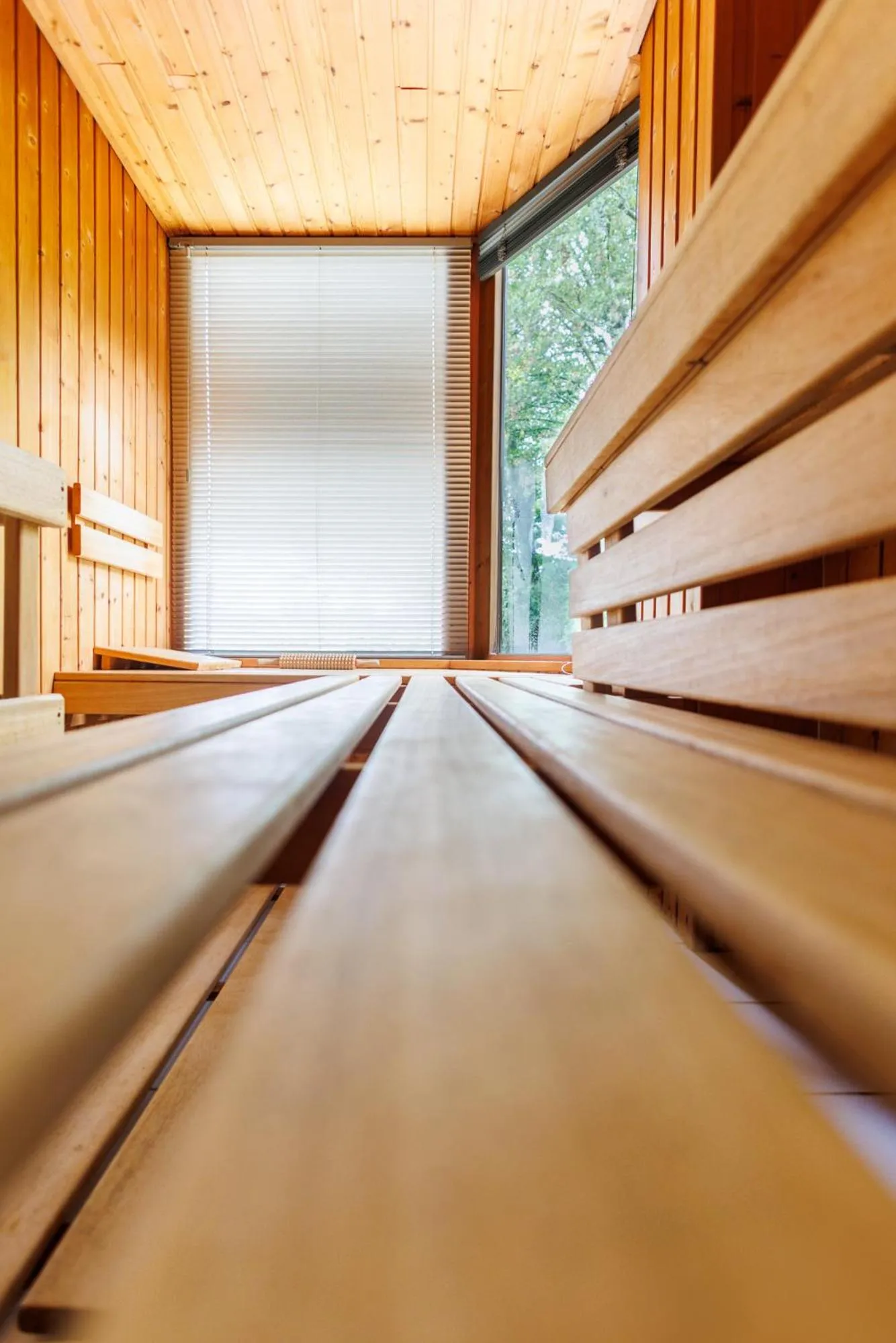 Sauna in B&B Hof Ter Koningen