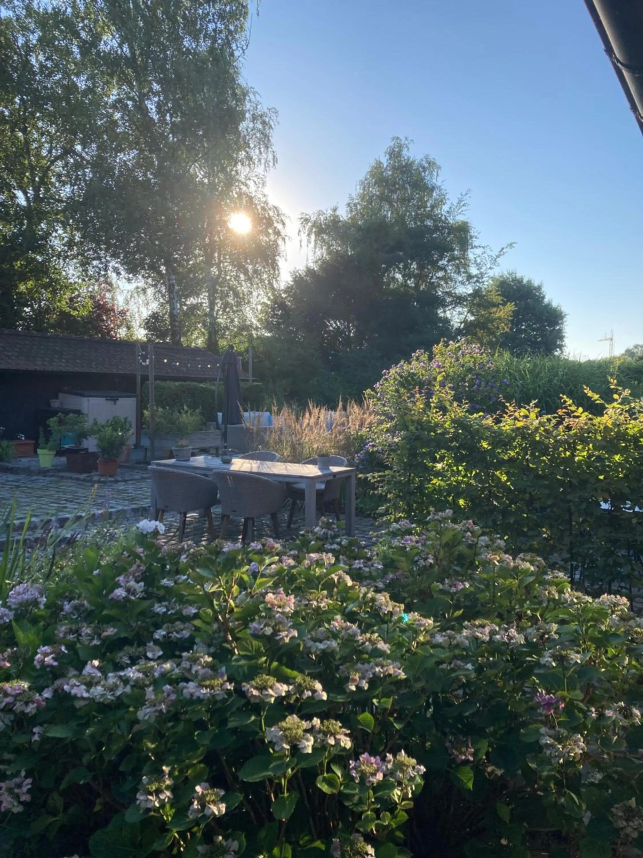 Balcony/Terrace in B&B Hof Ter Koningen