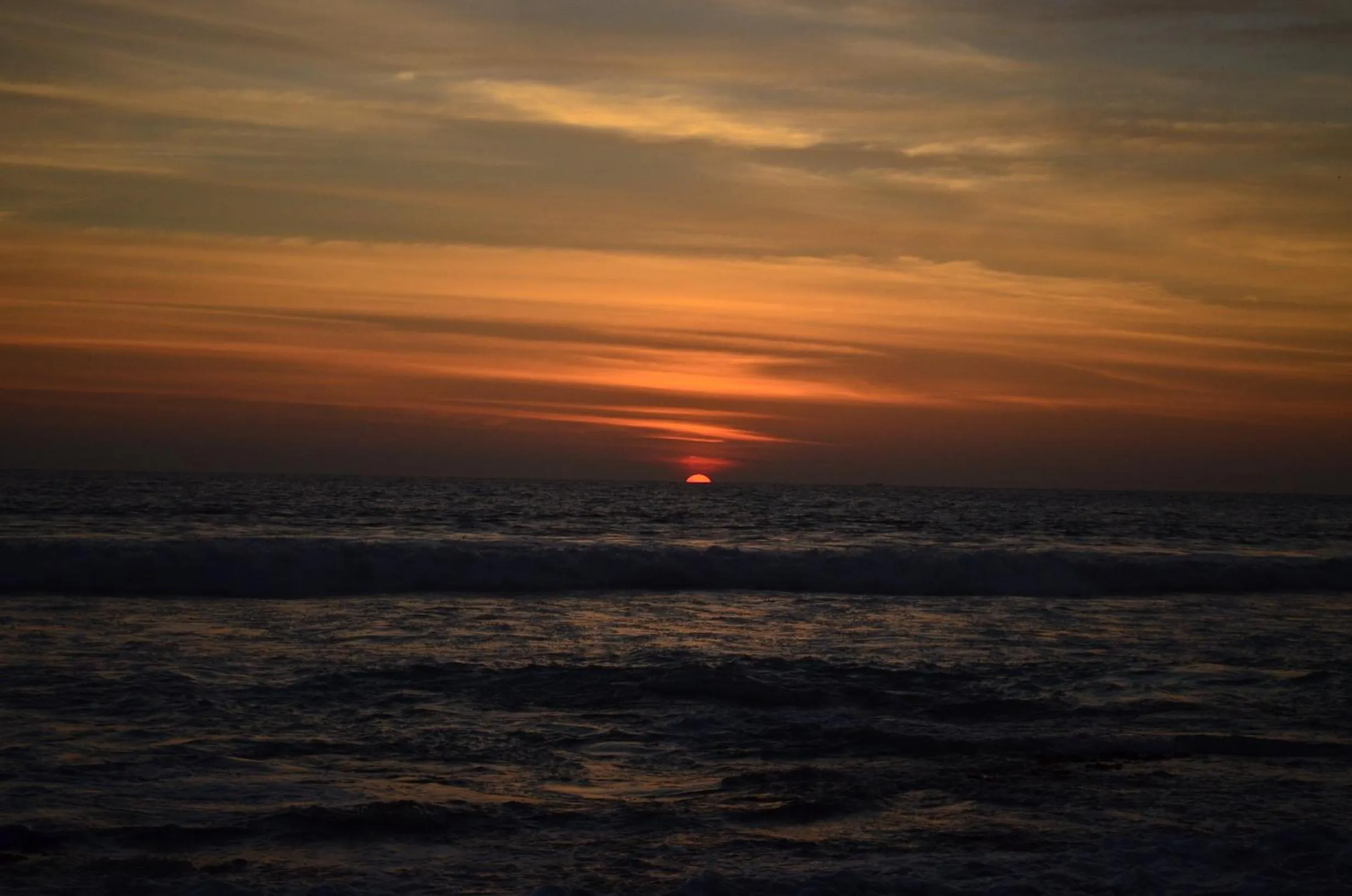 Area and facilities in Hotel Paradiso