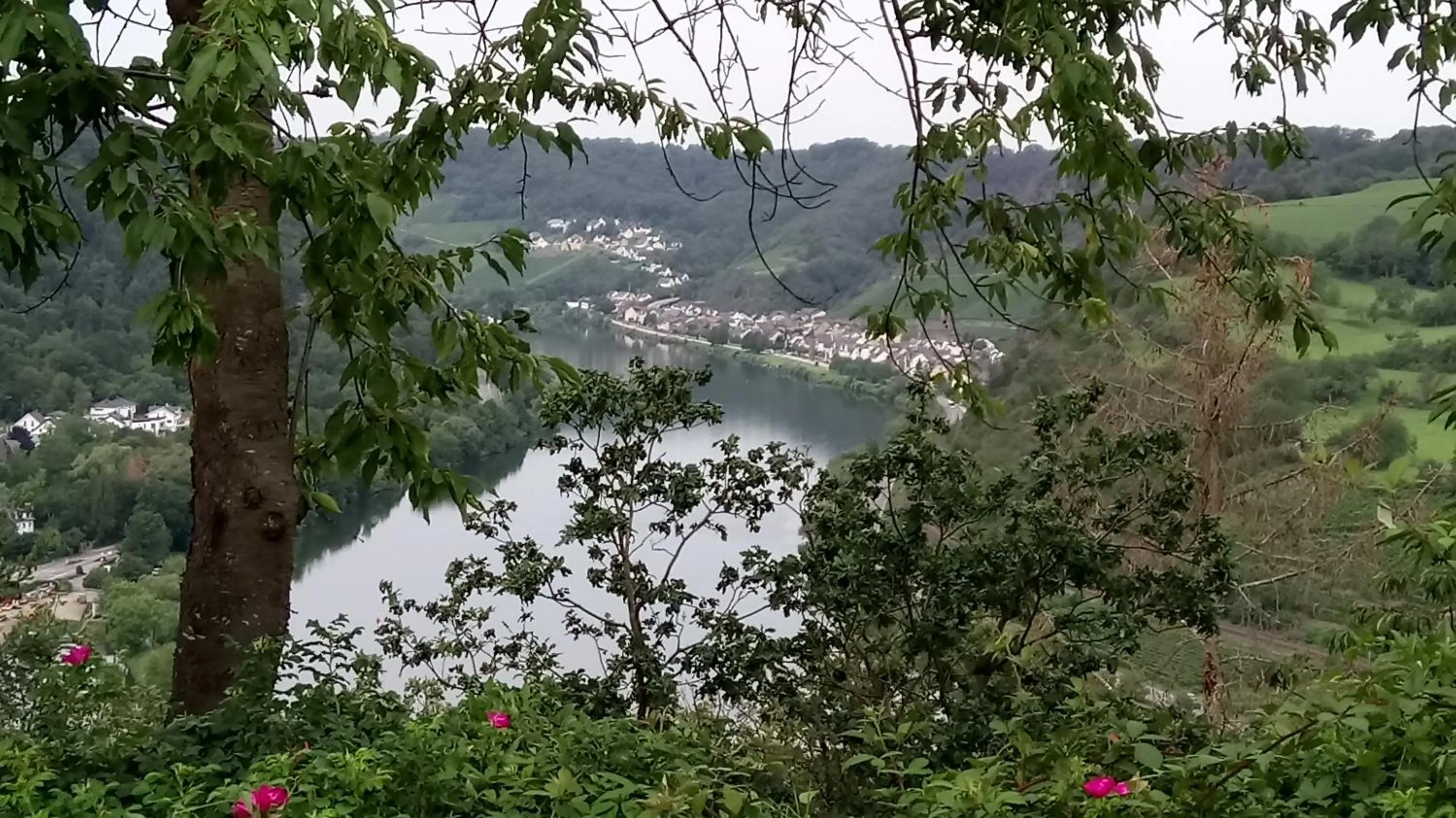 Natural landscape in Historischer Winzerverein Boutique B&B