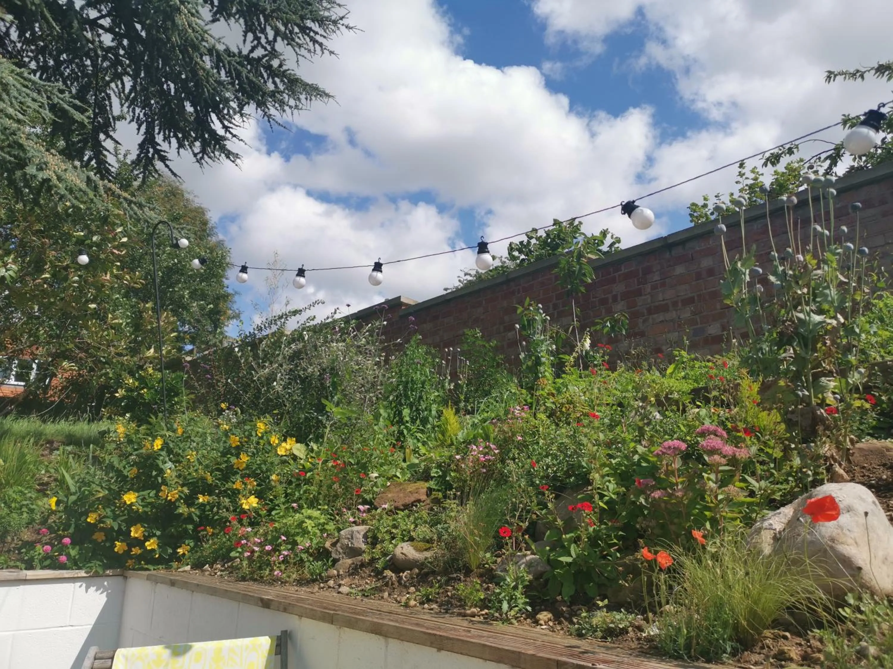 Garden in Exelby Green Dragon