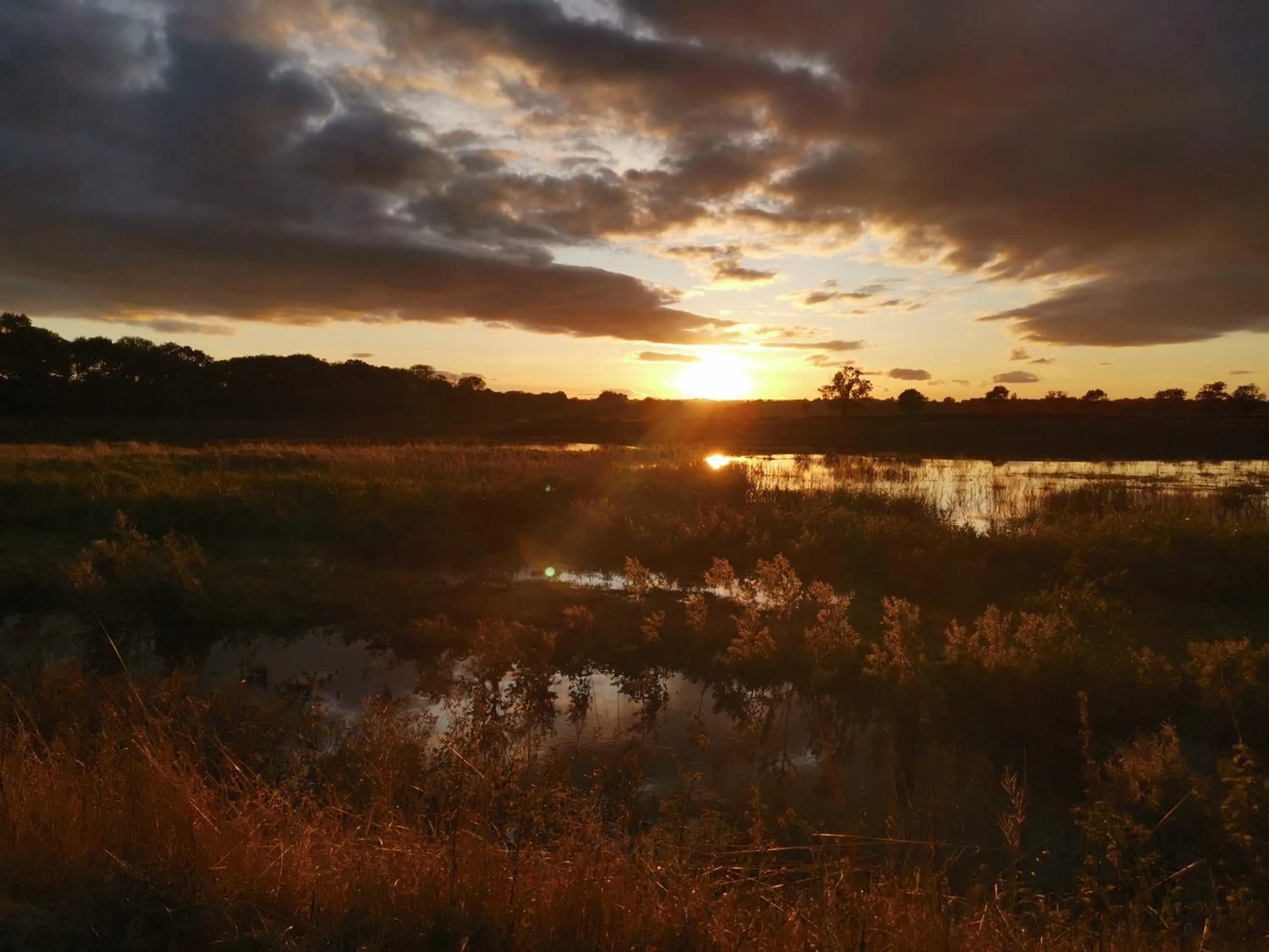 Neighbourhood in Exelby Green Dragon