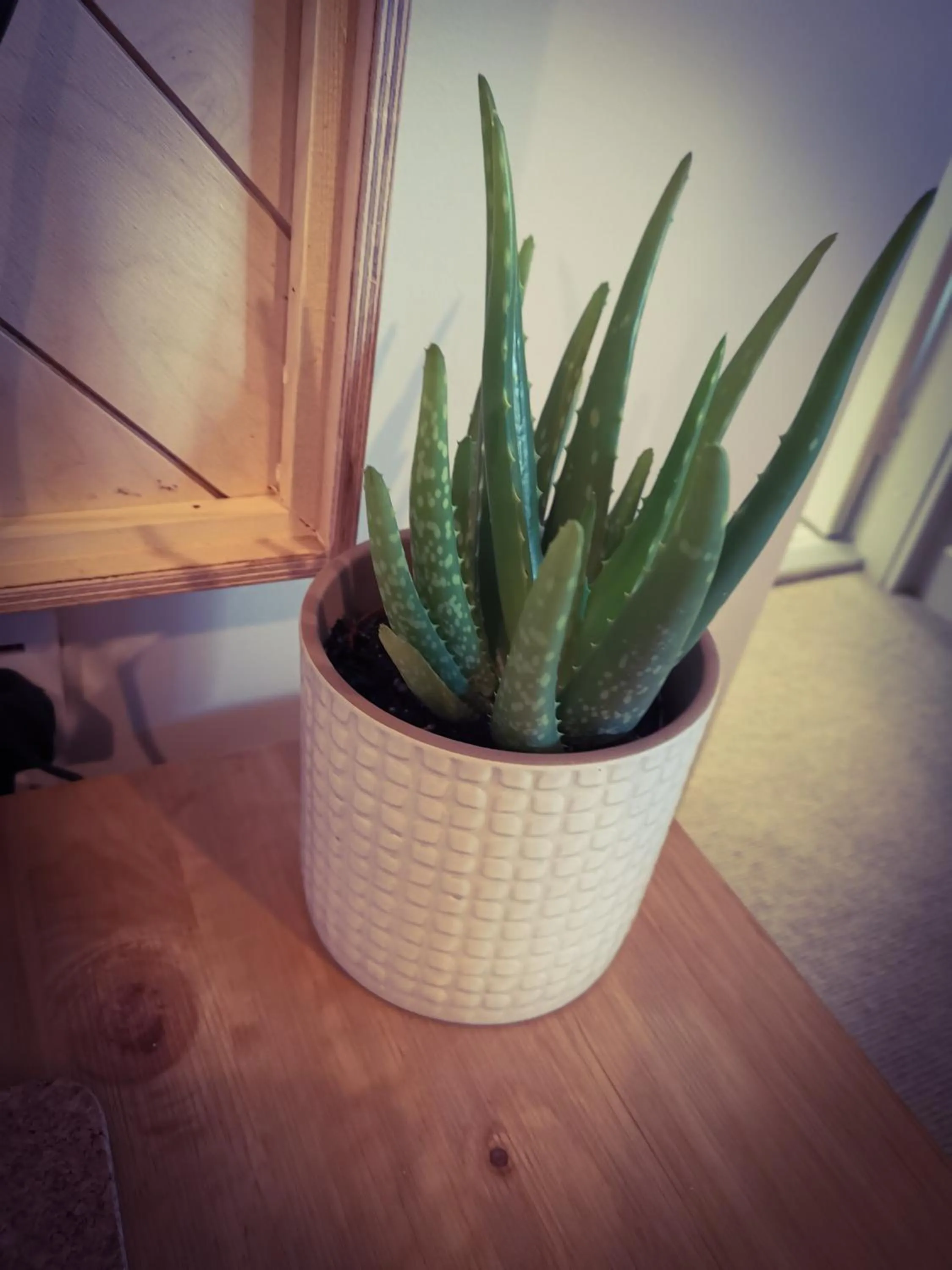 Bedroom in Exelby Green Dragon