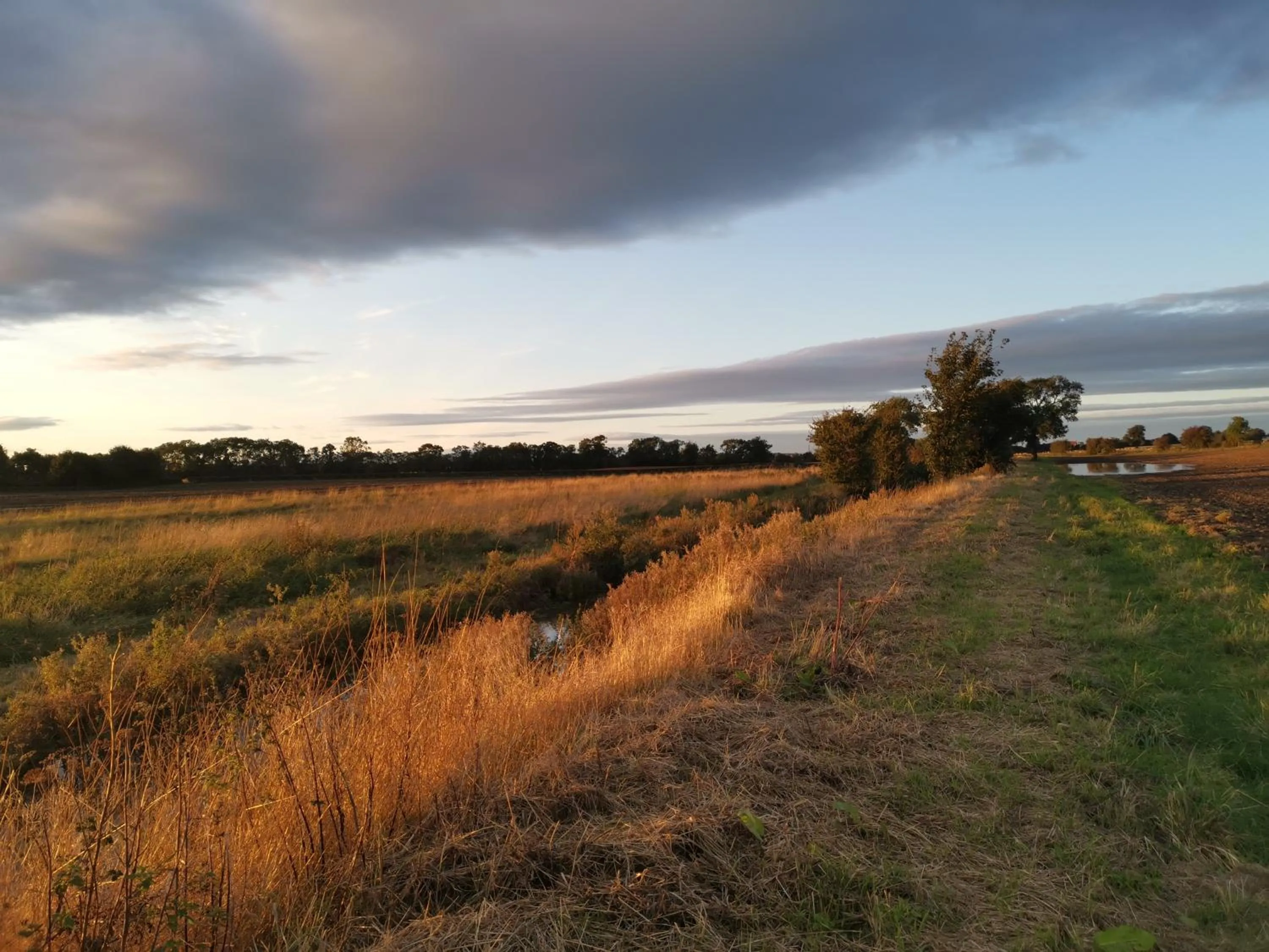 Neighbourhood in Exelby Green Dragon