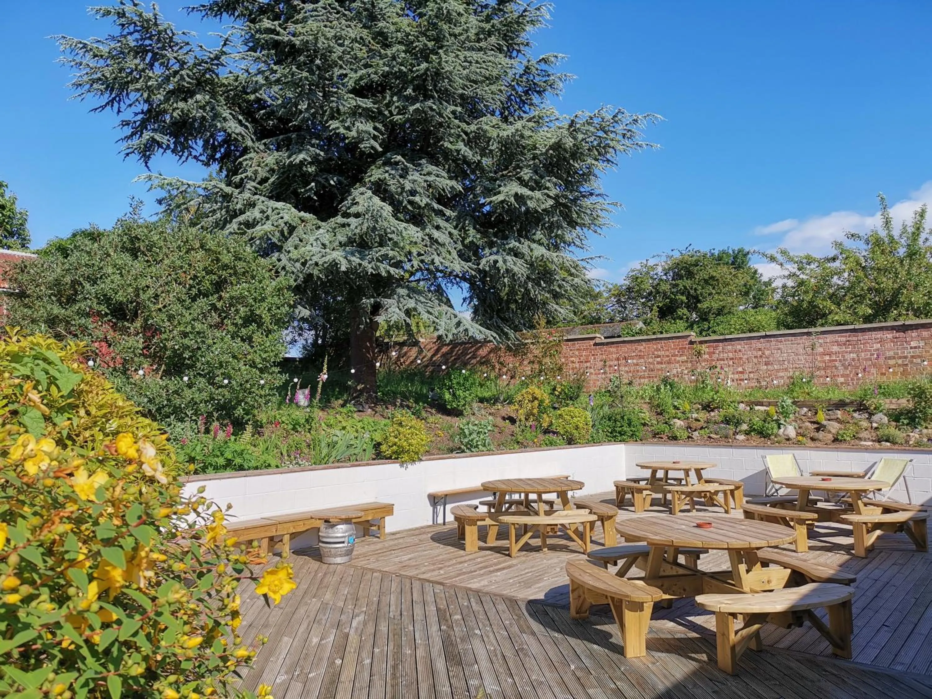 Garden in Exelby Green Dragon