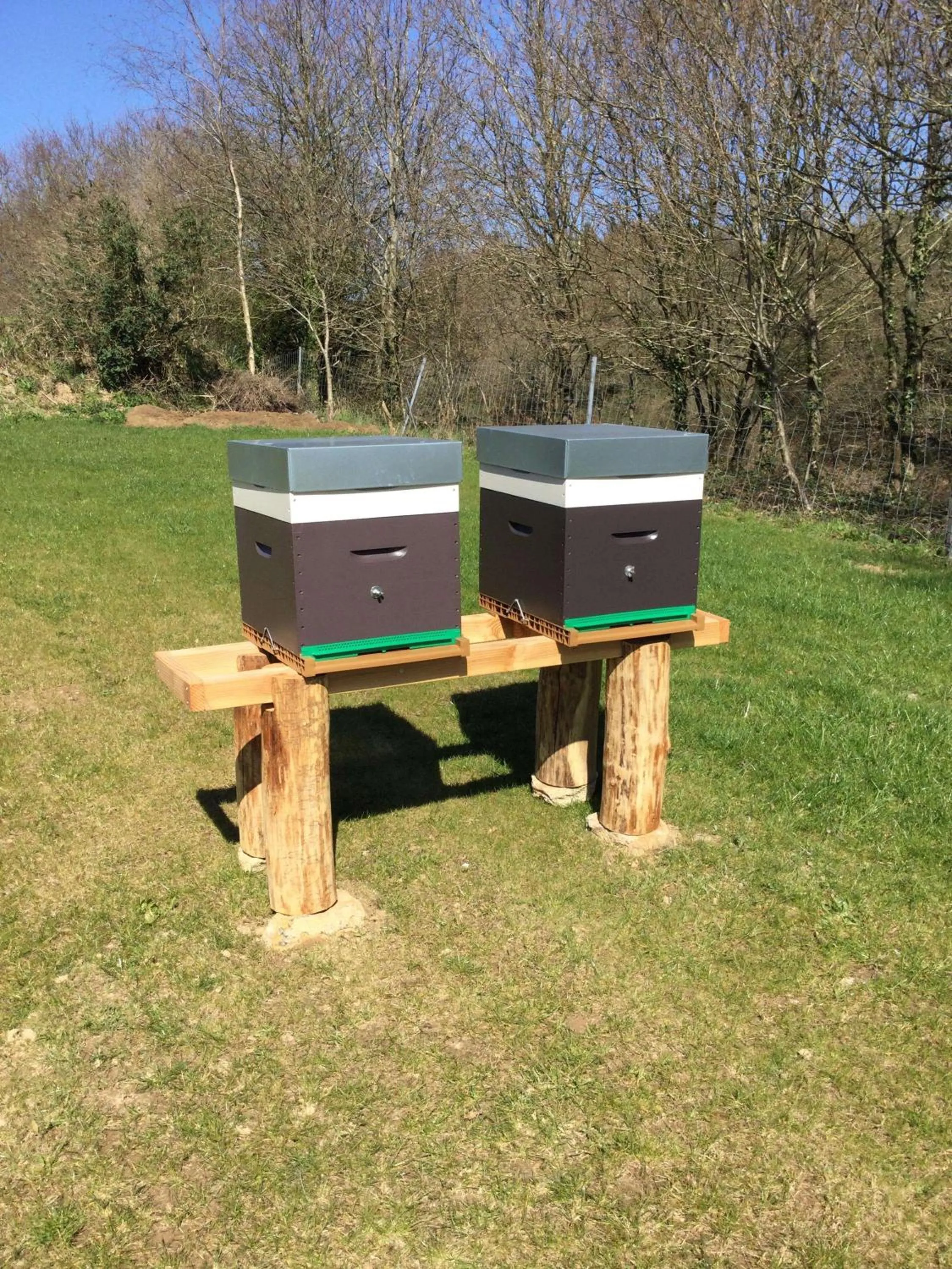 Property building in Brit Hotel Ploermel - Hotel de l'Hippodrome