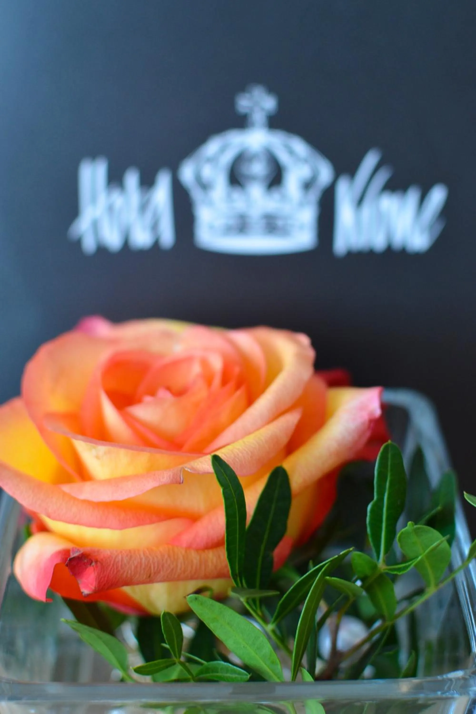 Other in Hotel Krone