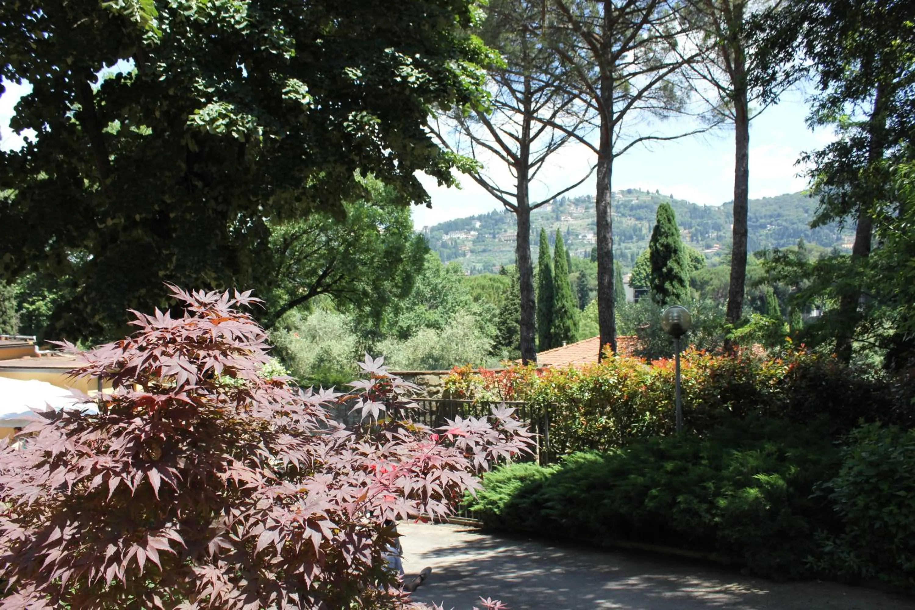 Garden in Villa La Stella