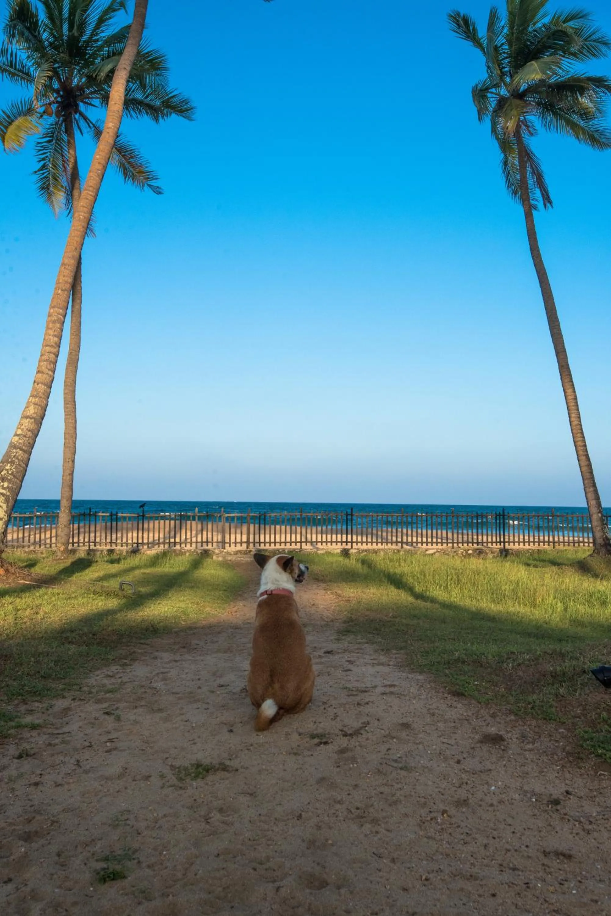 Other in Jetwing Kottukal Beach House