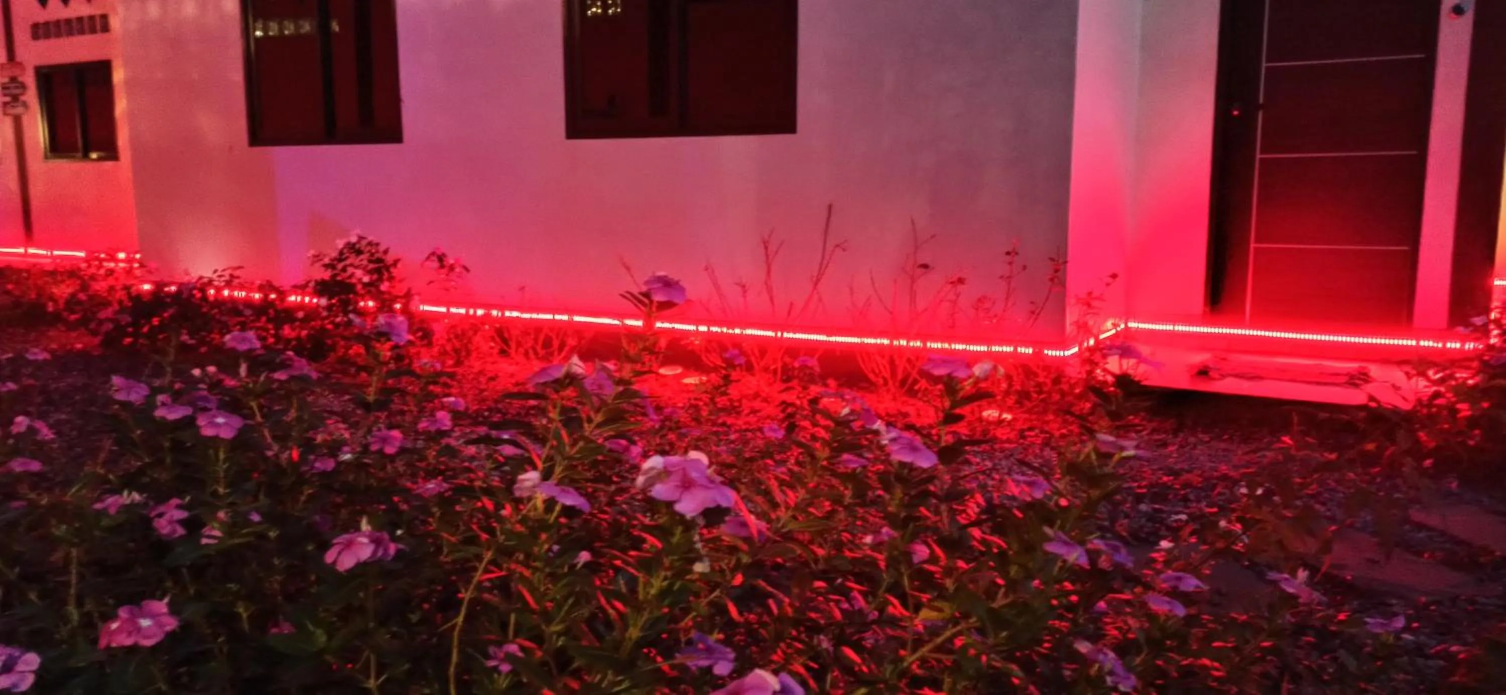 Property building in Touch the Wind