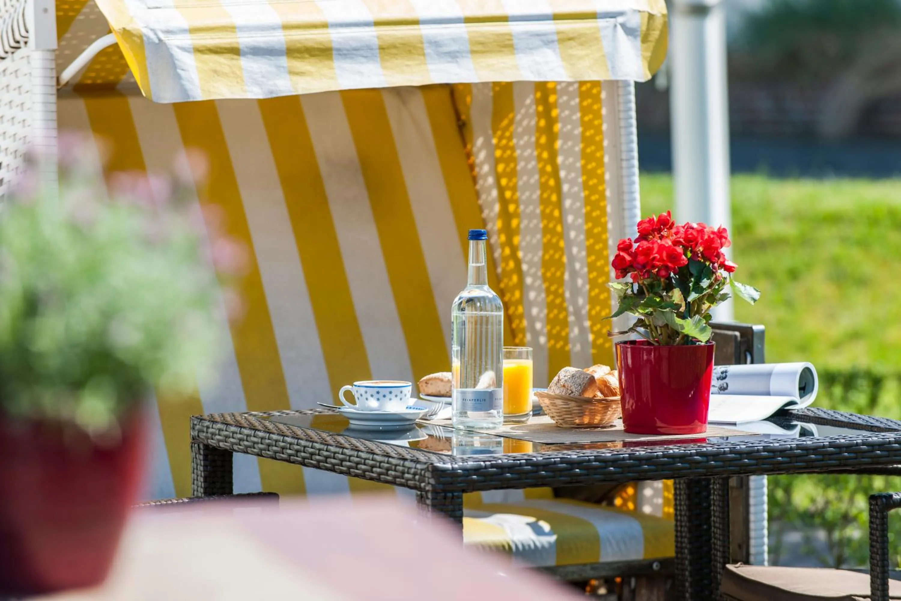 Garden in Sylter Domizil