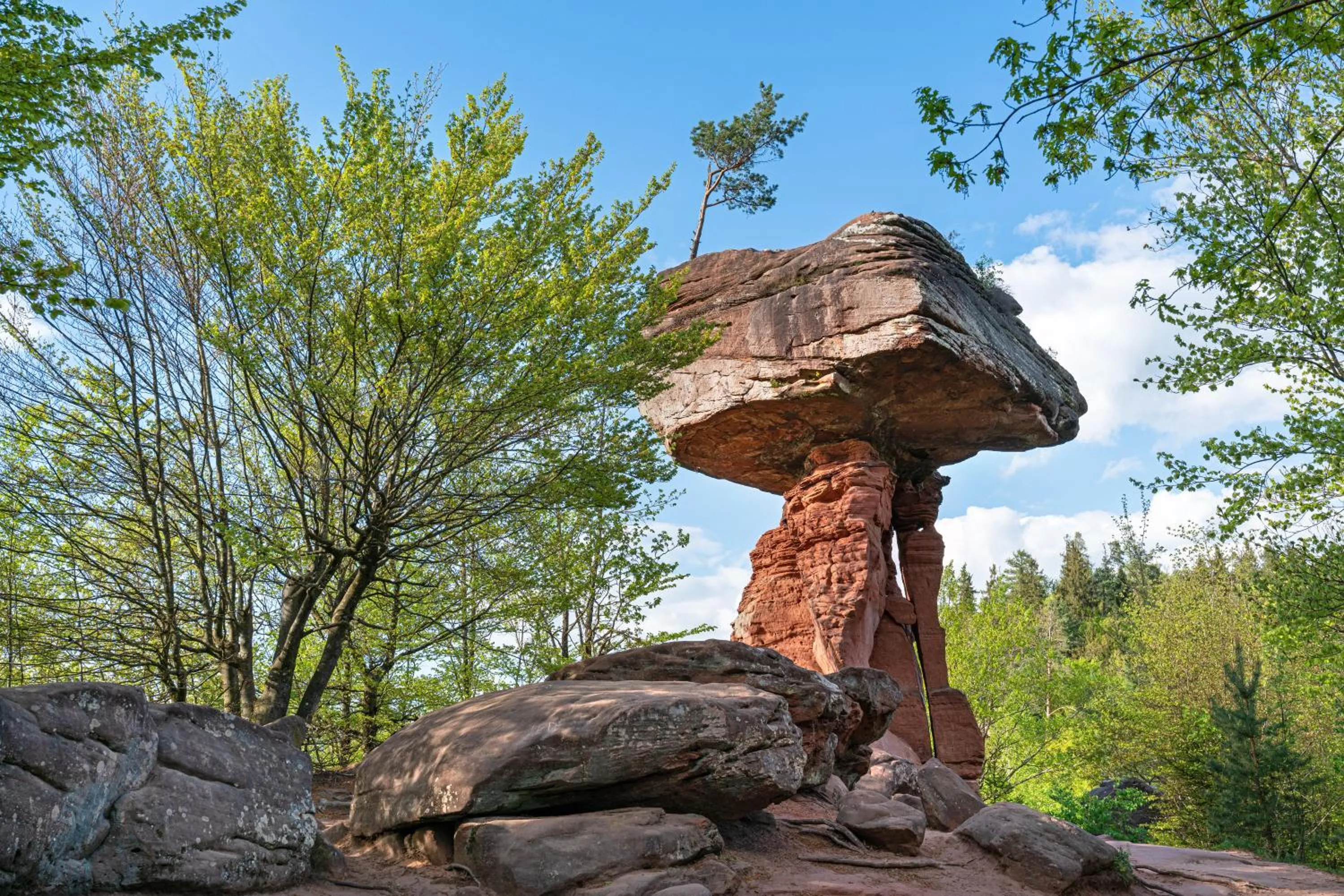 Nearby landmark in Hotel Restaurant Alt Pirmasens