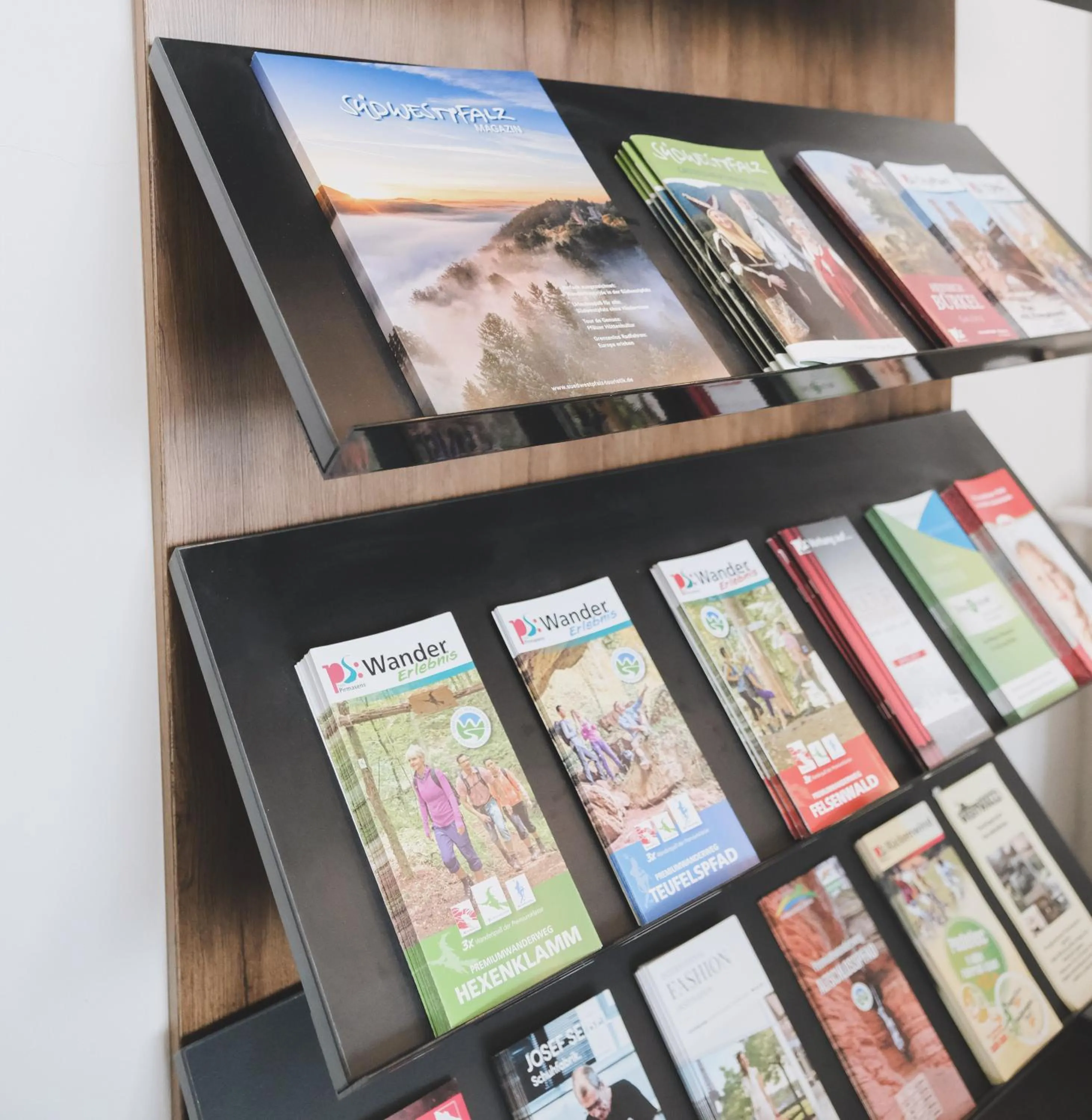 Library in Hotel Restaurant Alt Pirmasens