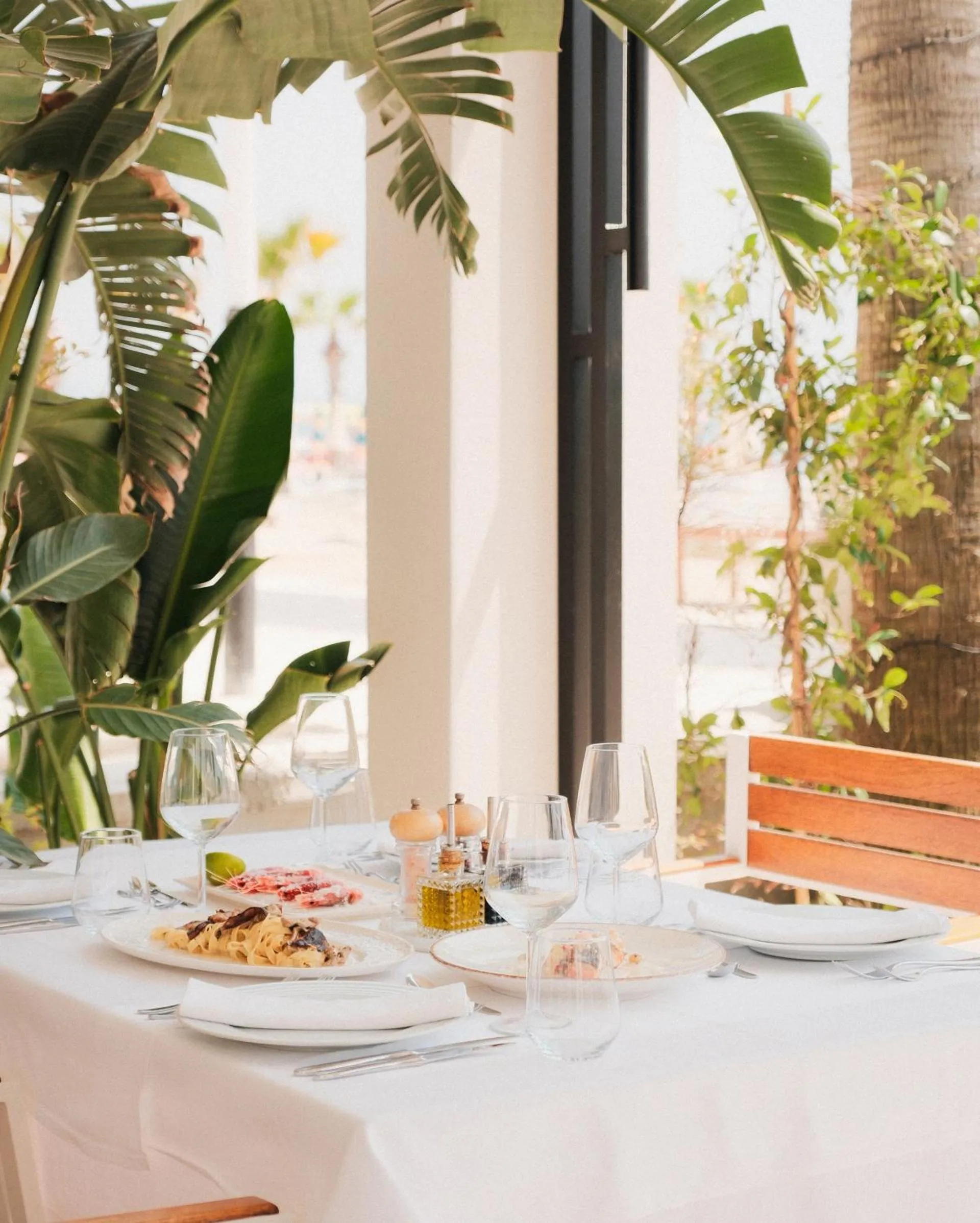 Garden in Palace Hotel & SPA