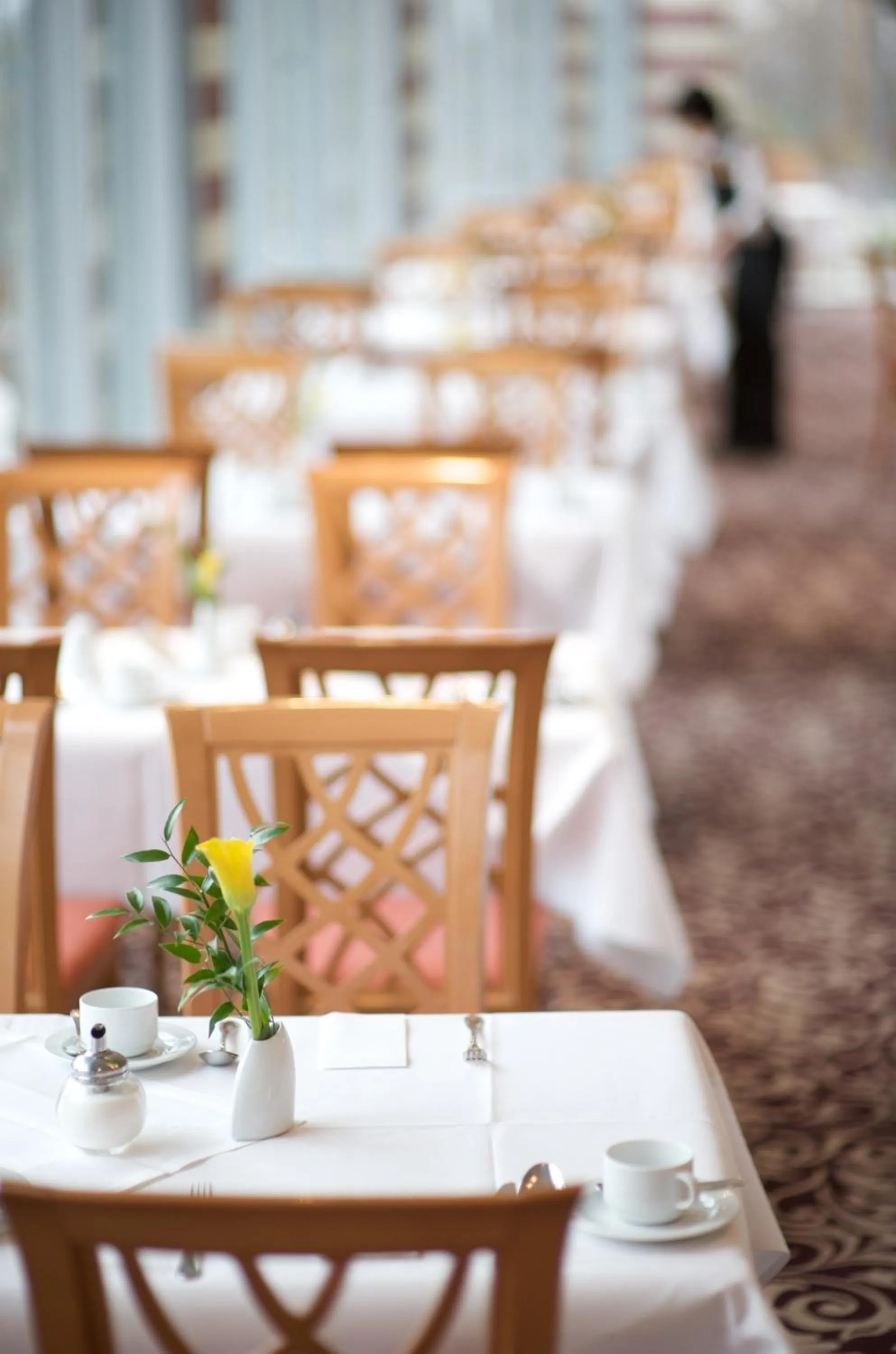 Restaurant/places to eat in Ramada by Wyndham Dresden