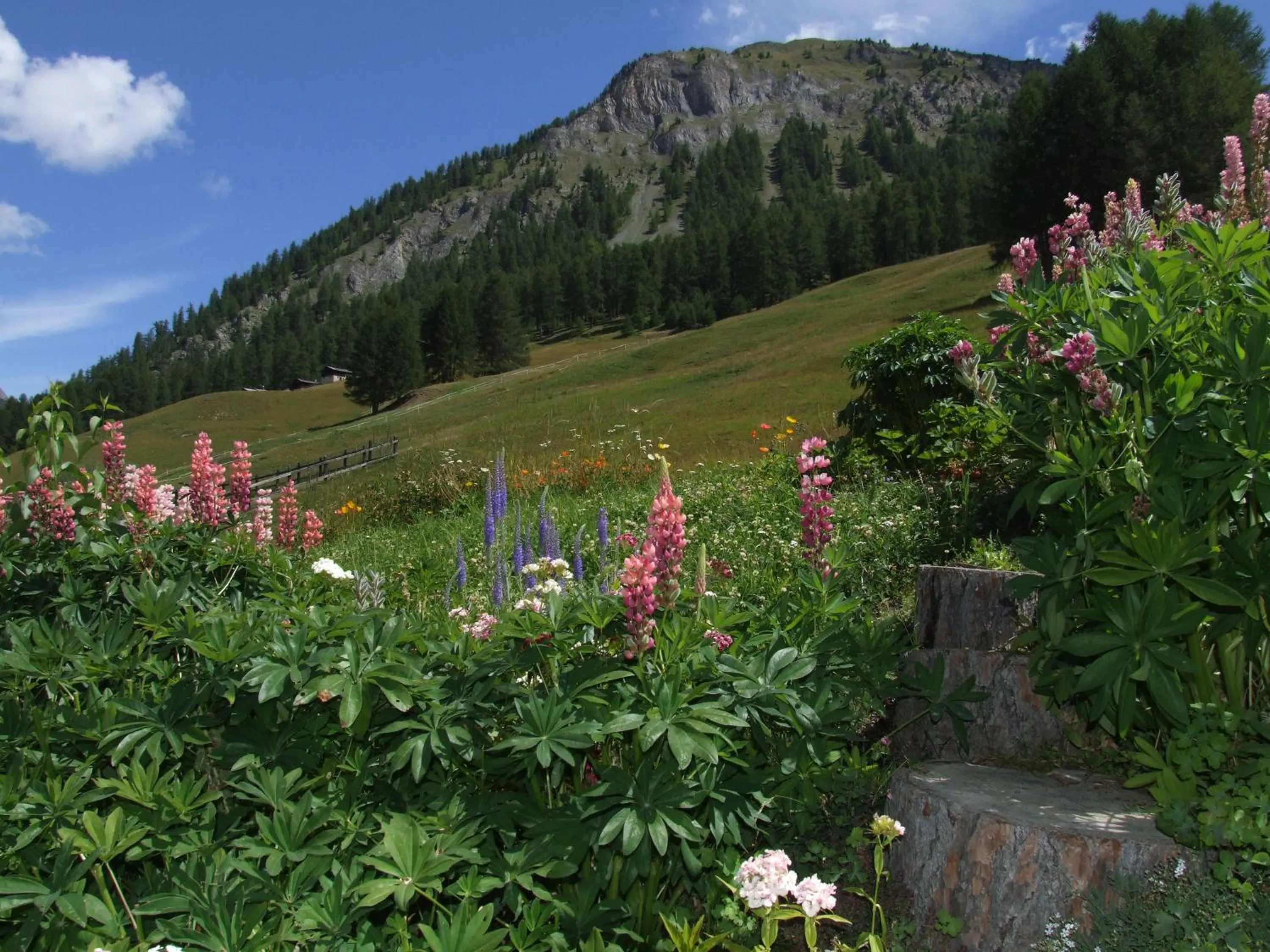 Nearby landmark in Residence Iris BeB