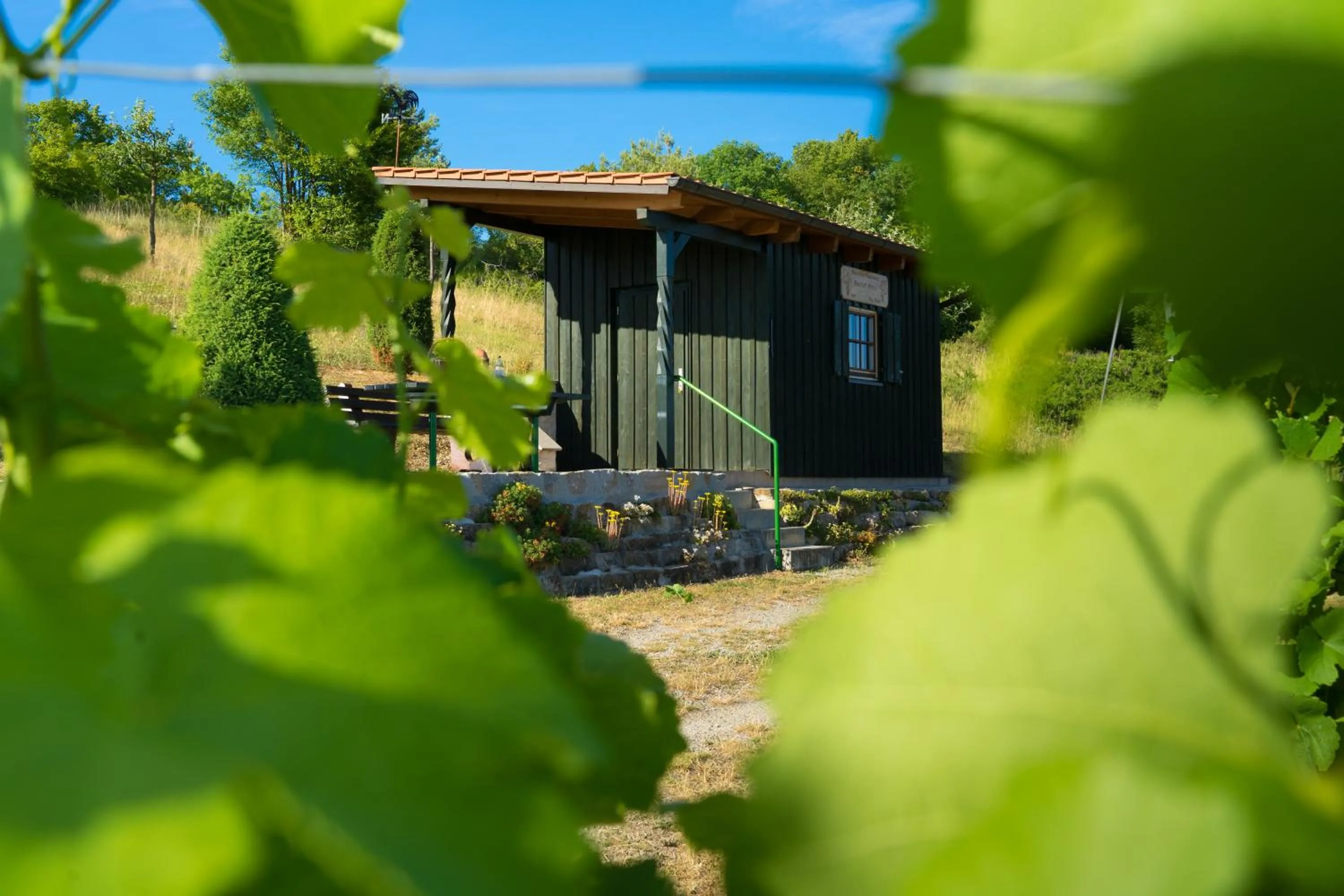 Natural landscape in Landgasthof Zum Stern
