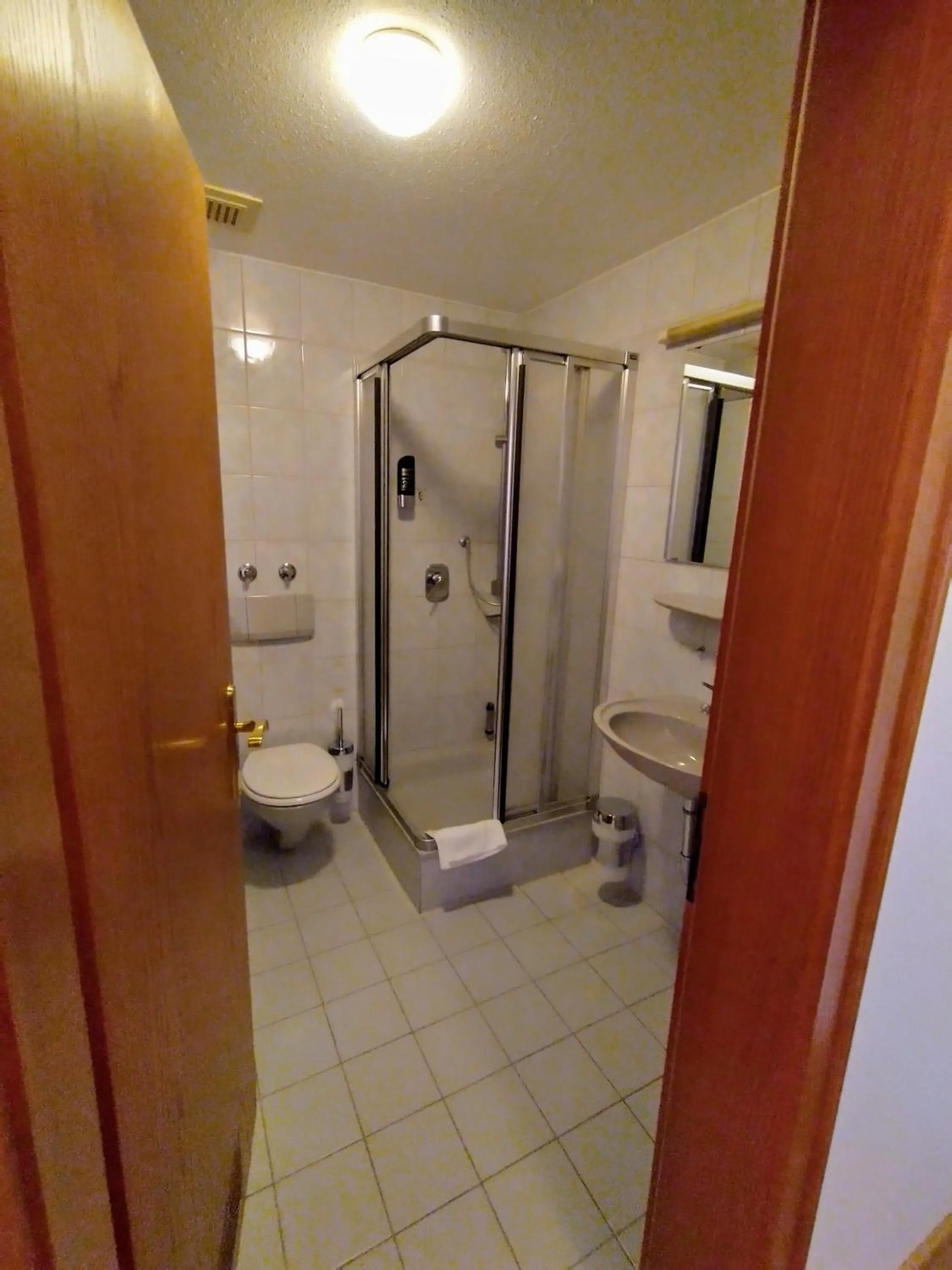 Shower in Hotel Faller