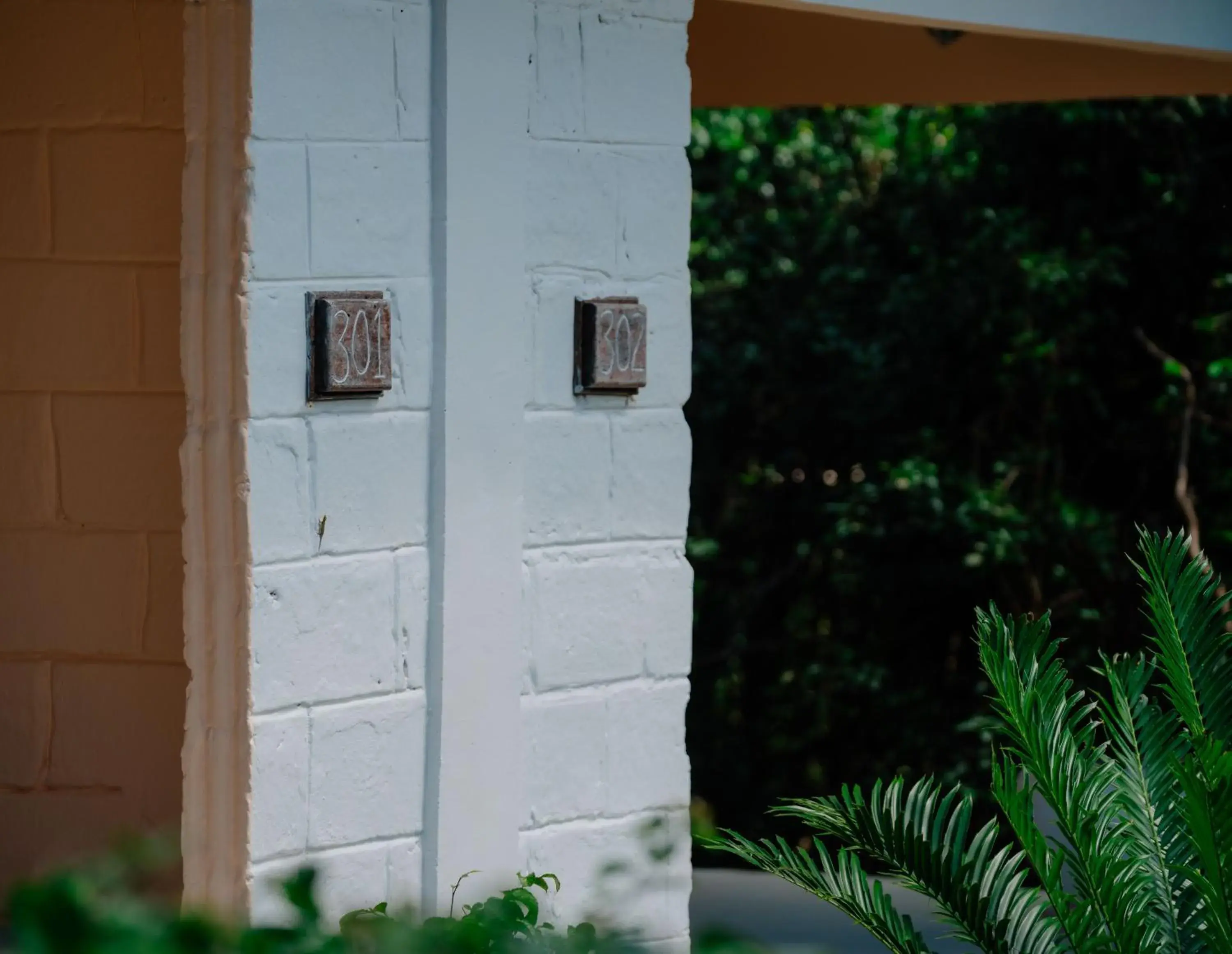 Property building in Pearl Beach by Sansi Property building in Pearl Beach by Sansi