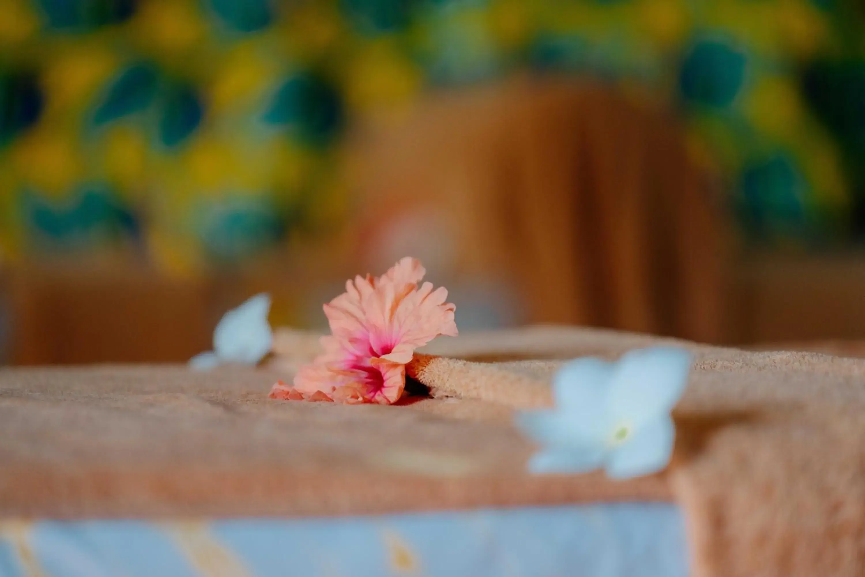 Pearl Beach by Sansi Pearl Beach by Sansi