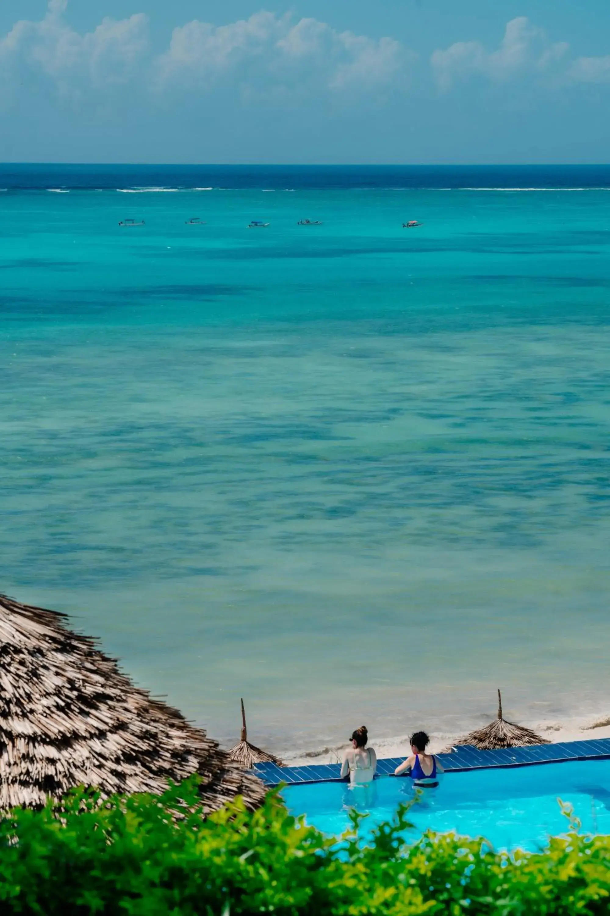 Beach in Pearl Beach by Sansi Beach in Pearl Beach by Sansi