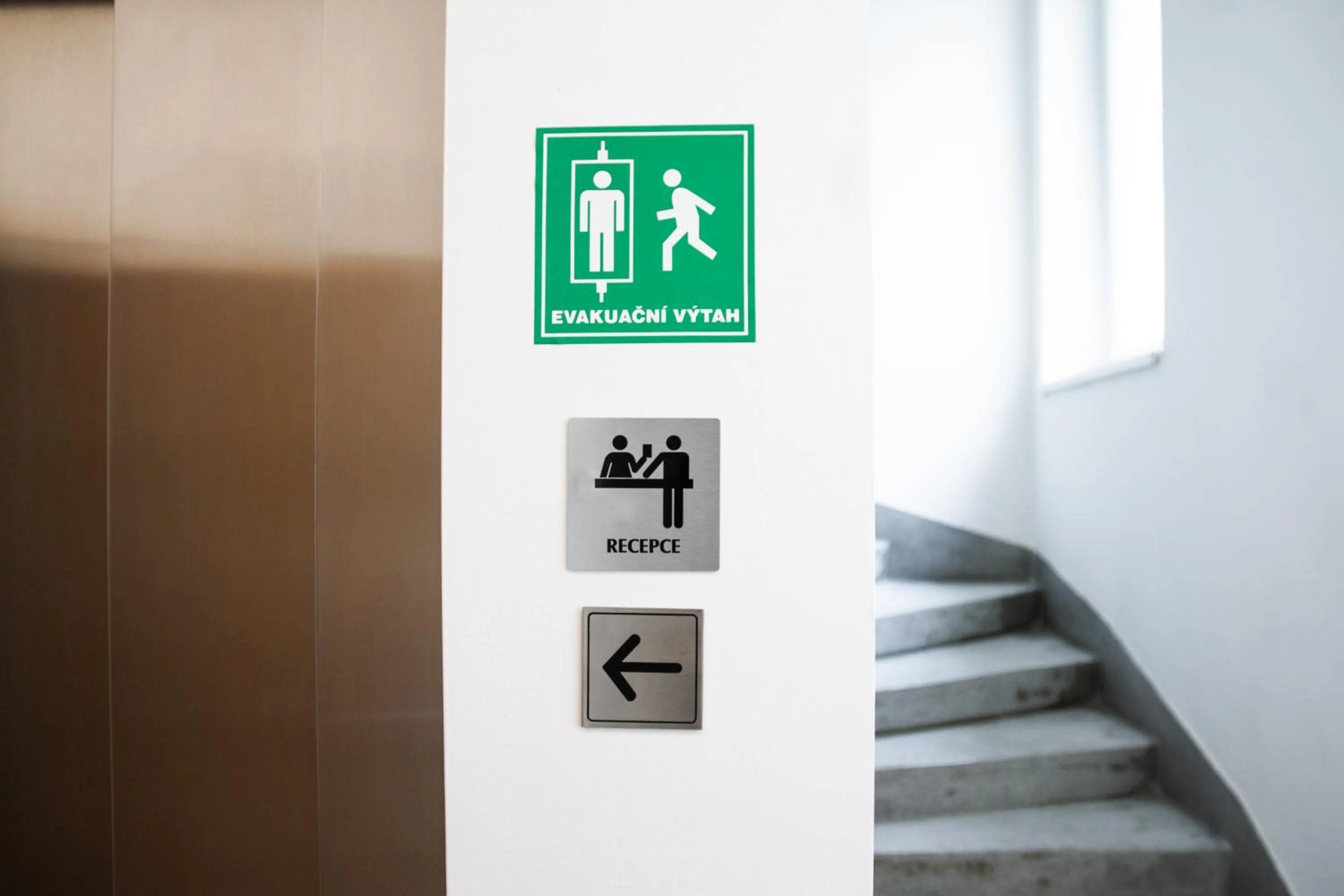 Area and facilities in Hostel Mandarinka