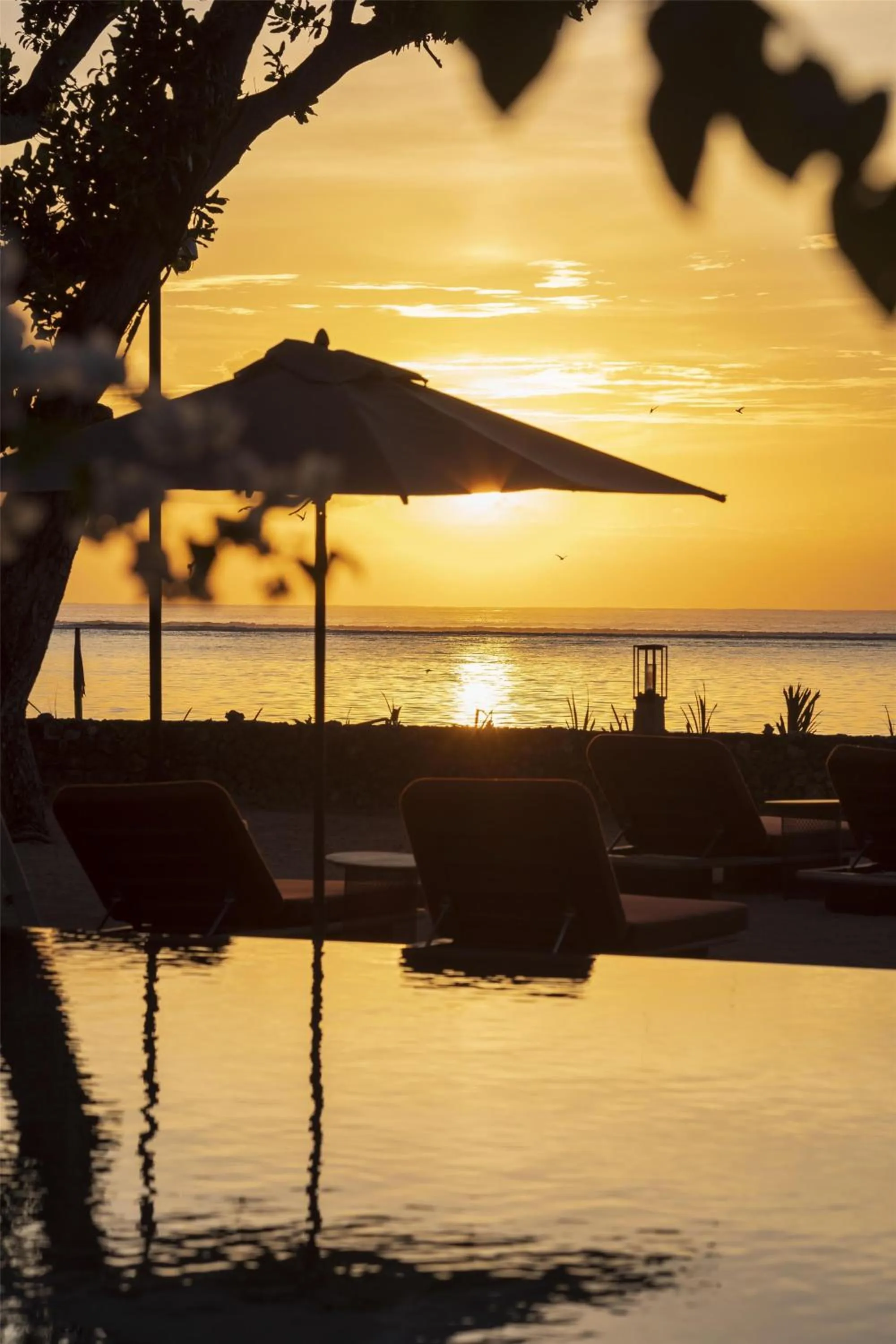 Swimming pool in Andaz Bali, By Hyatt
