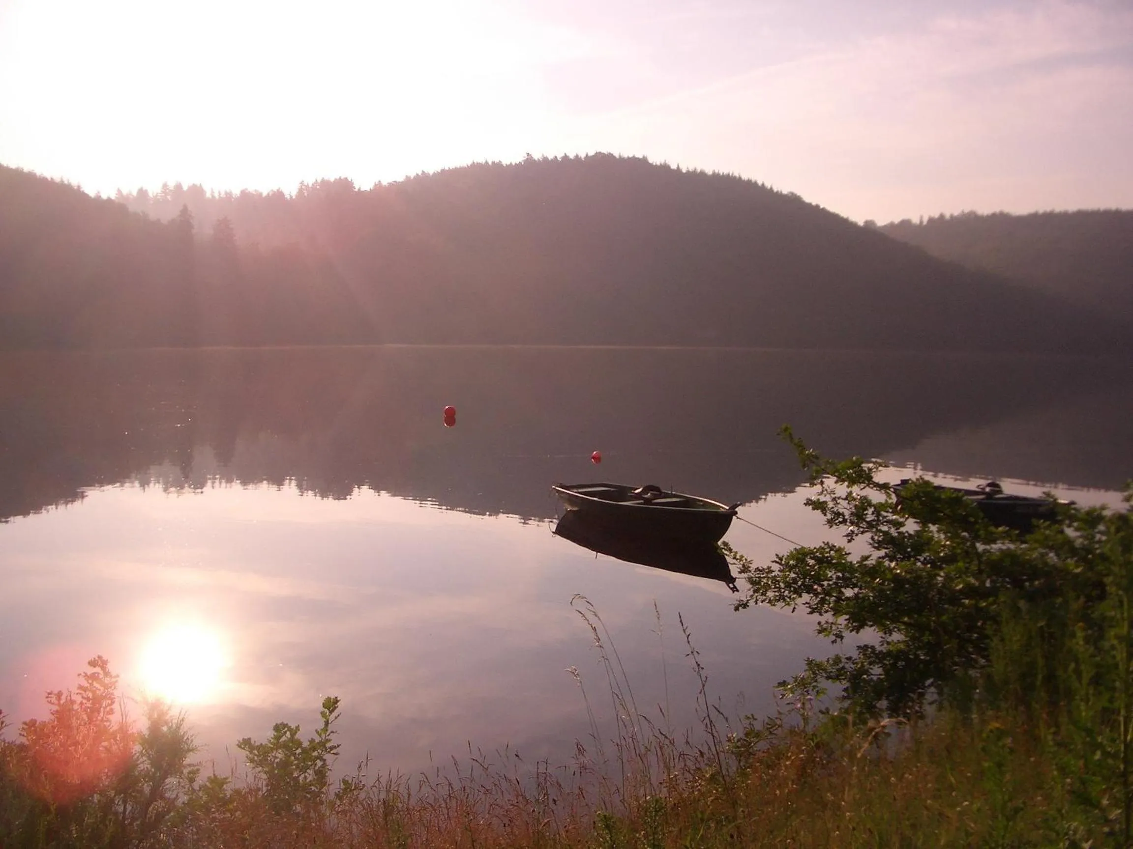 Area and facilities in Alm Appartements ehemals Birkenhof