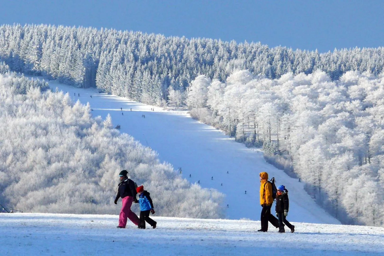 Staff in Alm Appartements ehemals Birkenhof