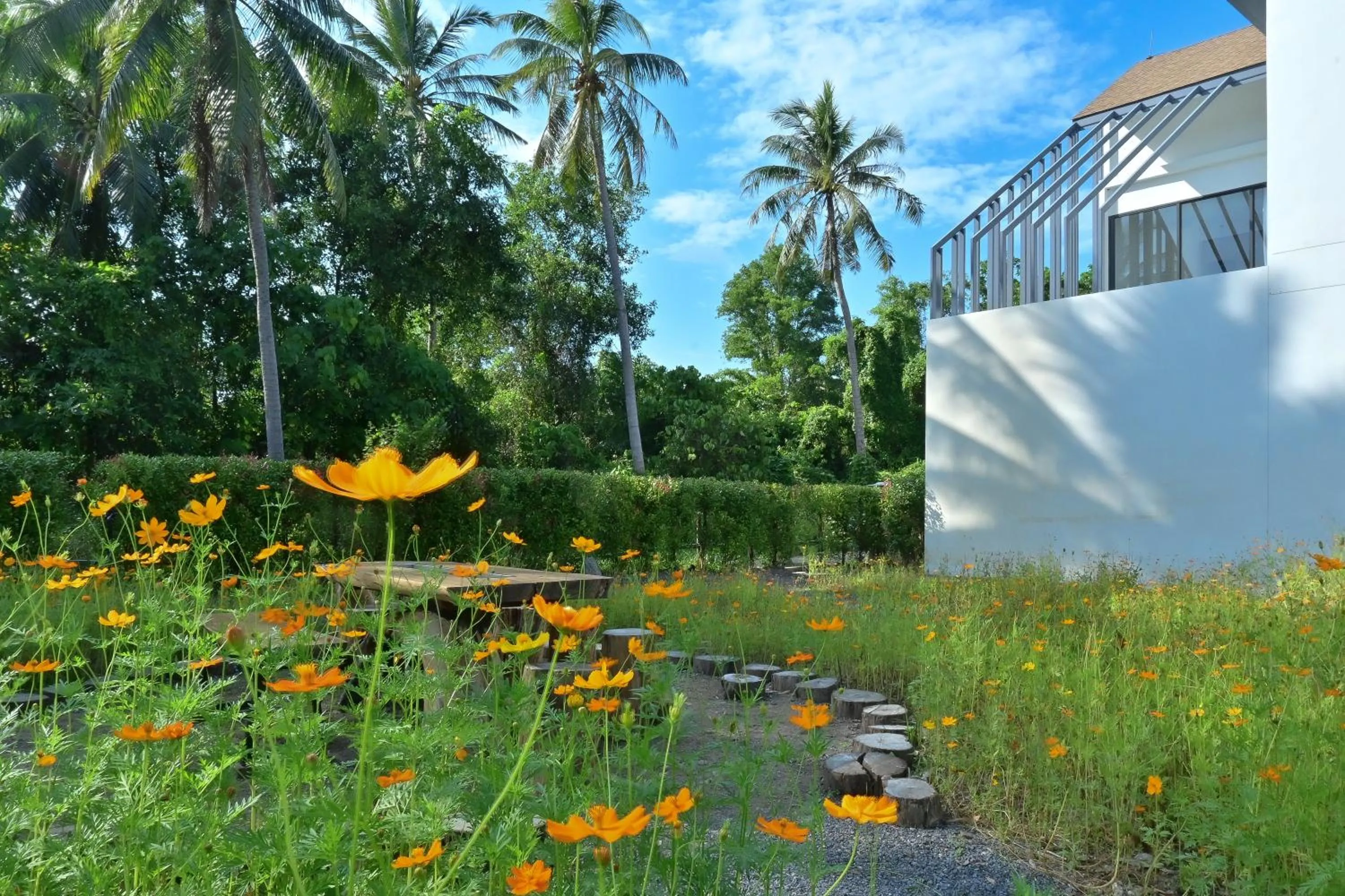 Garden in Chomdao Maikhao