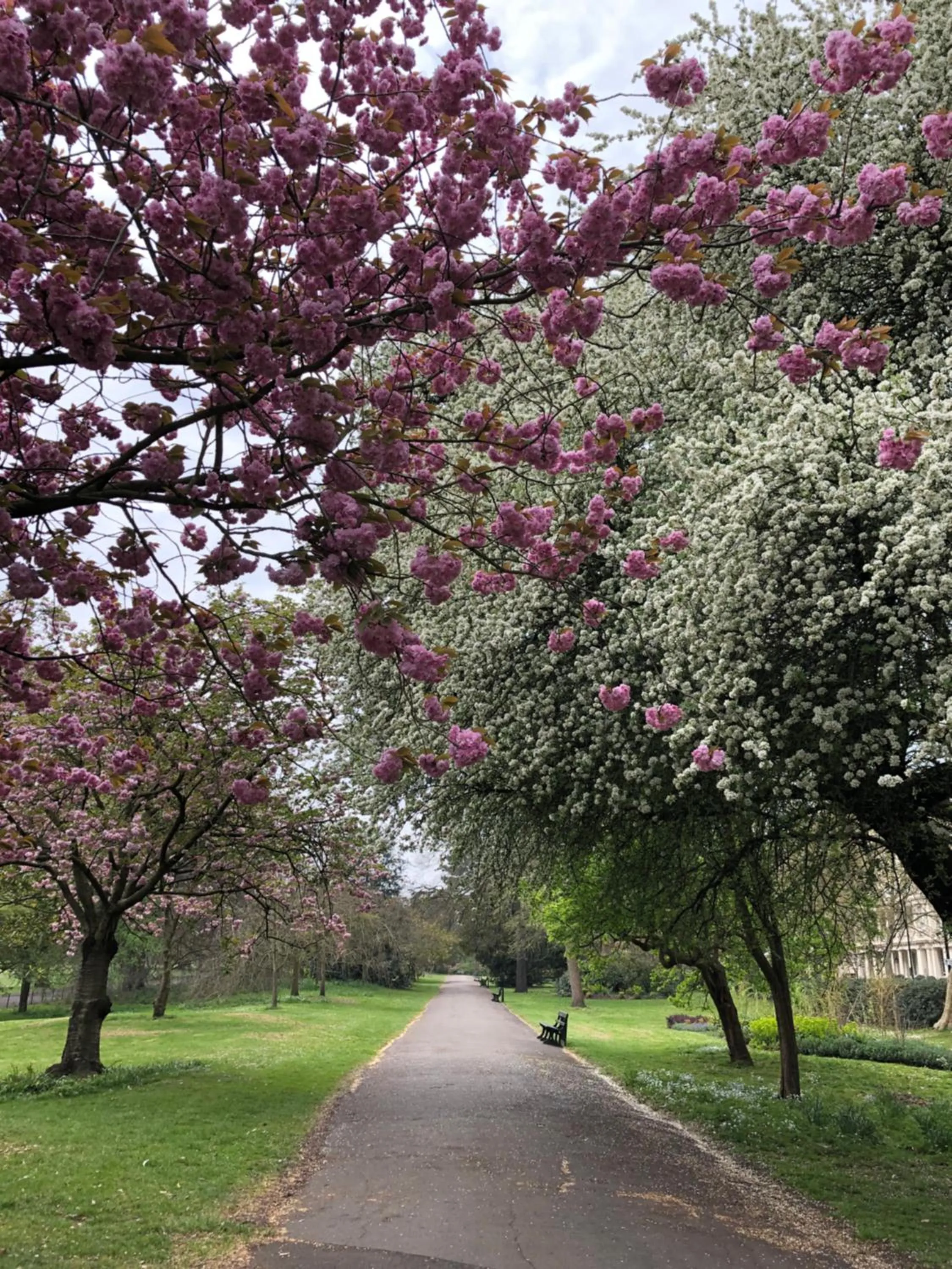 Other in Lancaster Hall Hotel