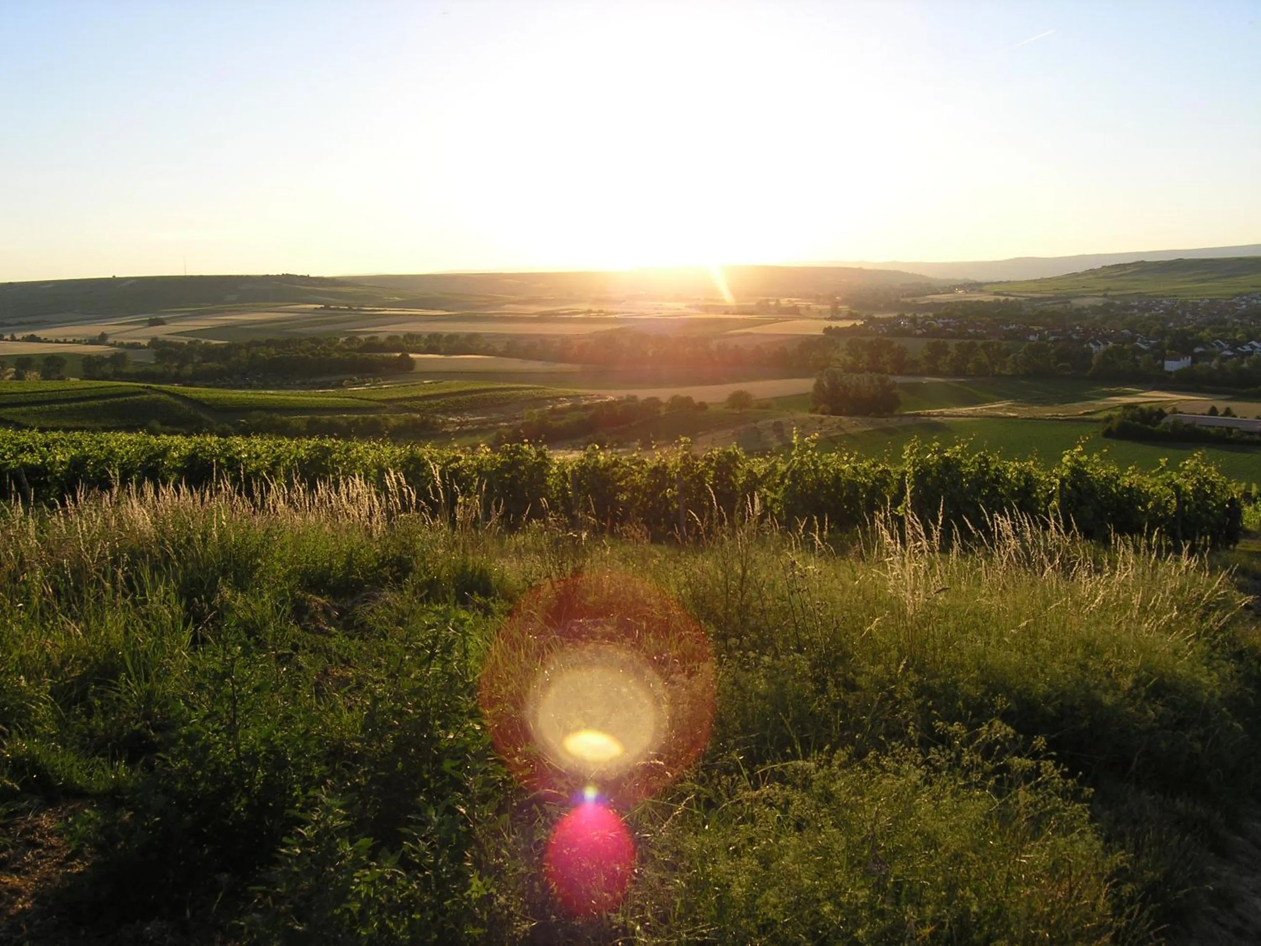 Natural landscape in Christian Gartenhotel