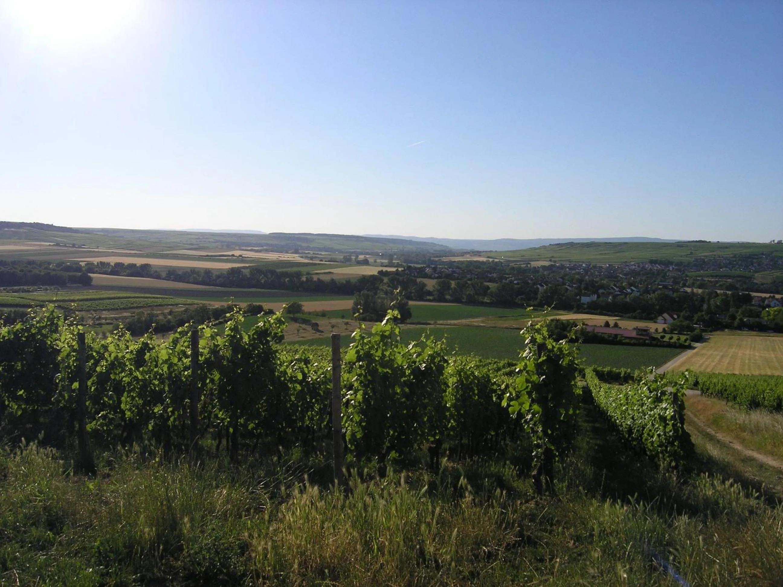 Natural landscape in Christian Gartenhotel
