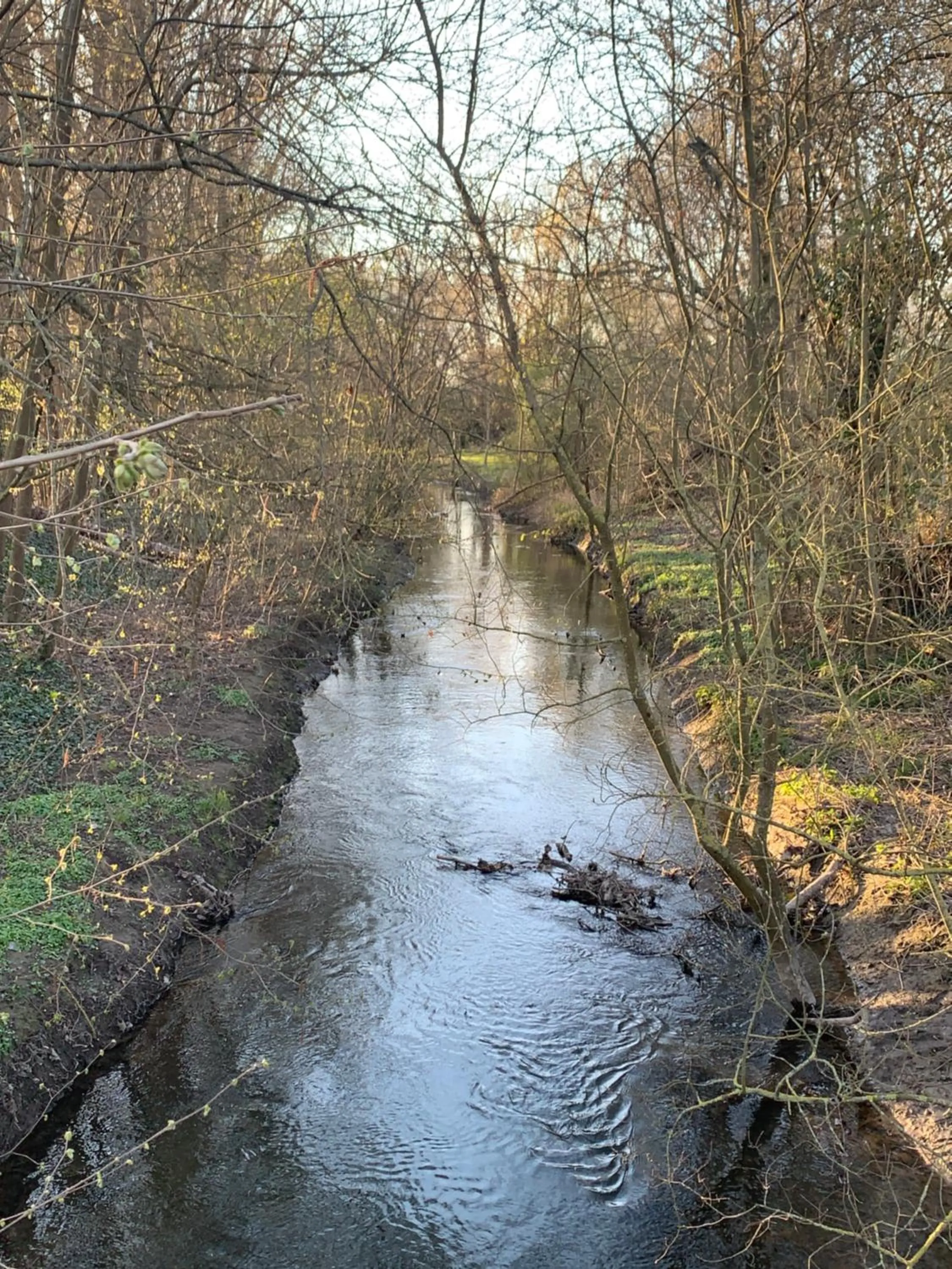 Area and facilities in Christian Gartenhotel